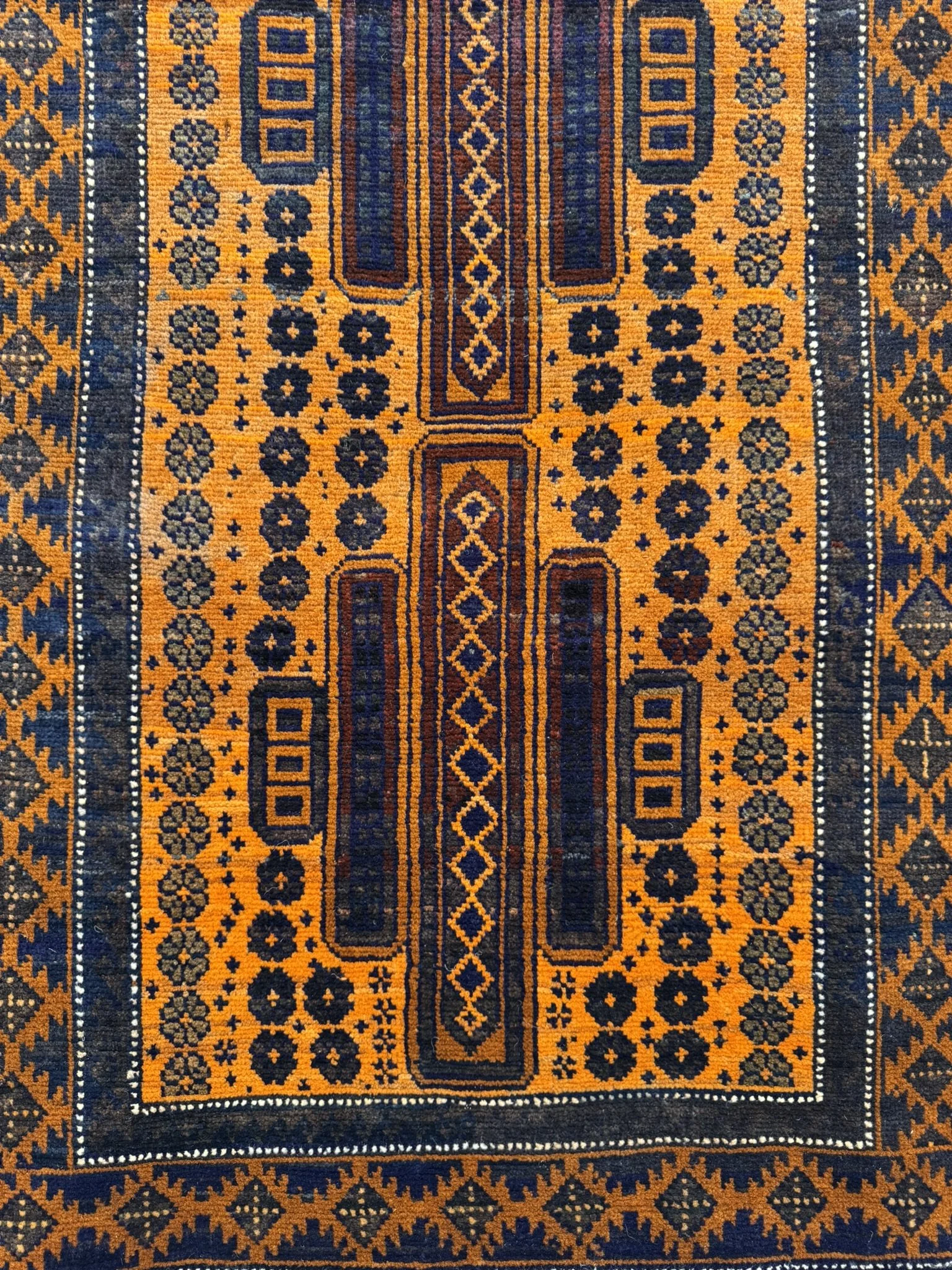 Mexican Marigold SKU C358