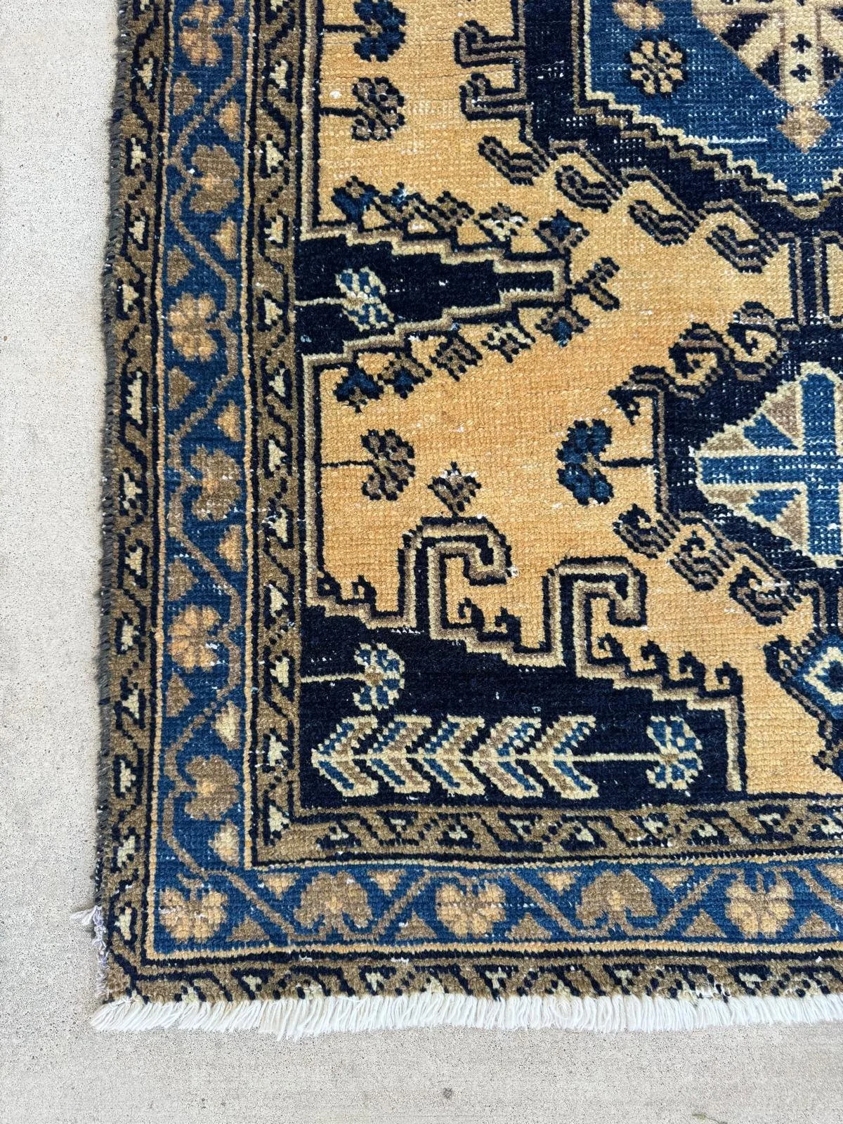 WhatsApp Image 2026-03-25 at 11.36.15 AM (2).jpeg