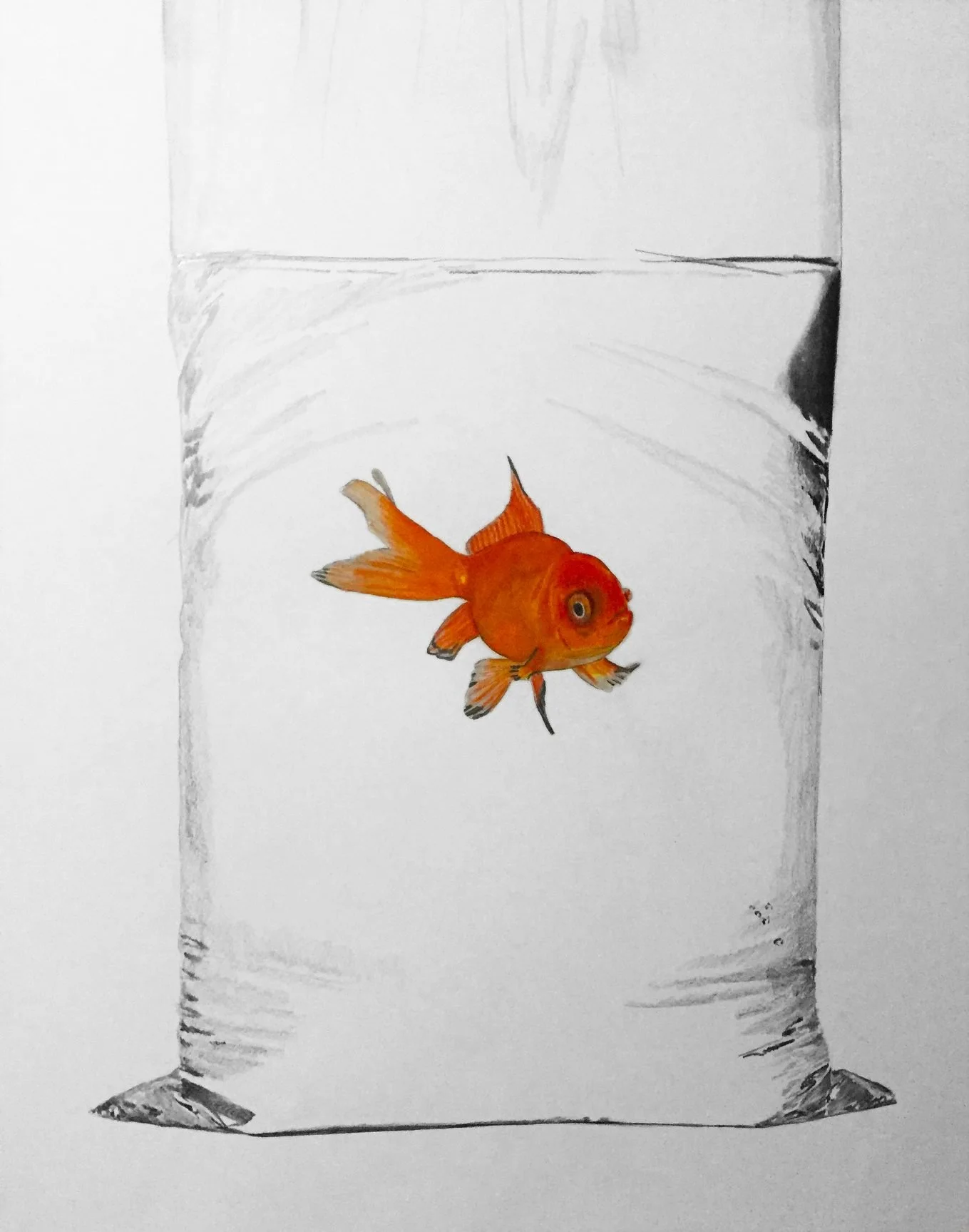 goldfish.jpg