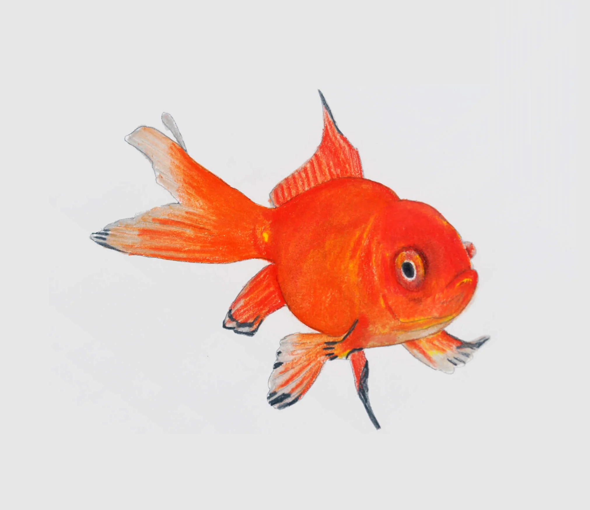 algonac-pickerel-tournament-goldfish-mike-pitzer-goldfish-closeup.jpg