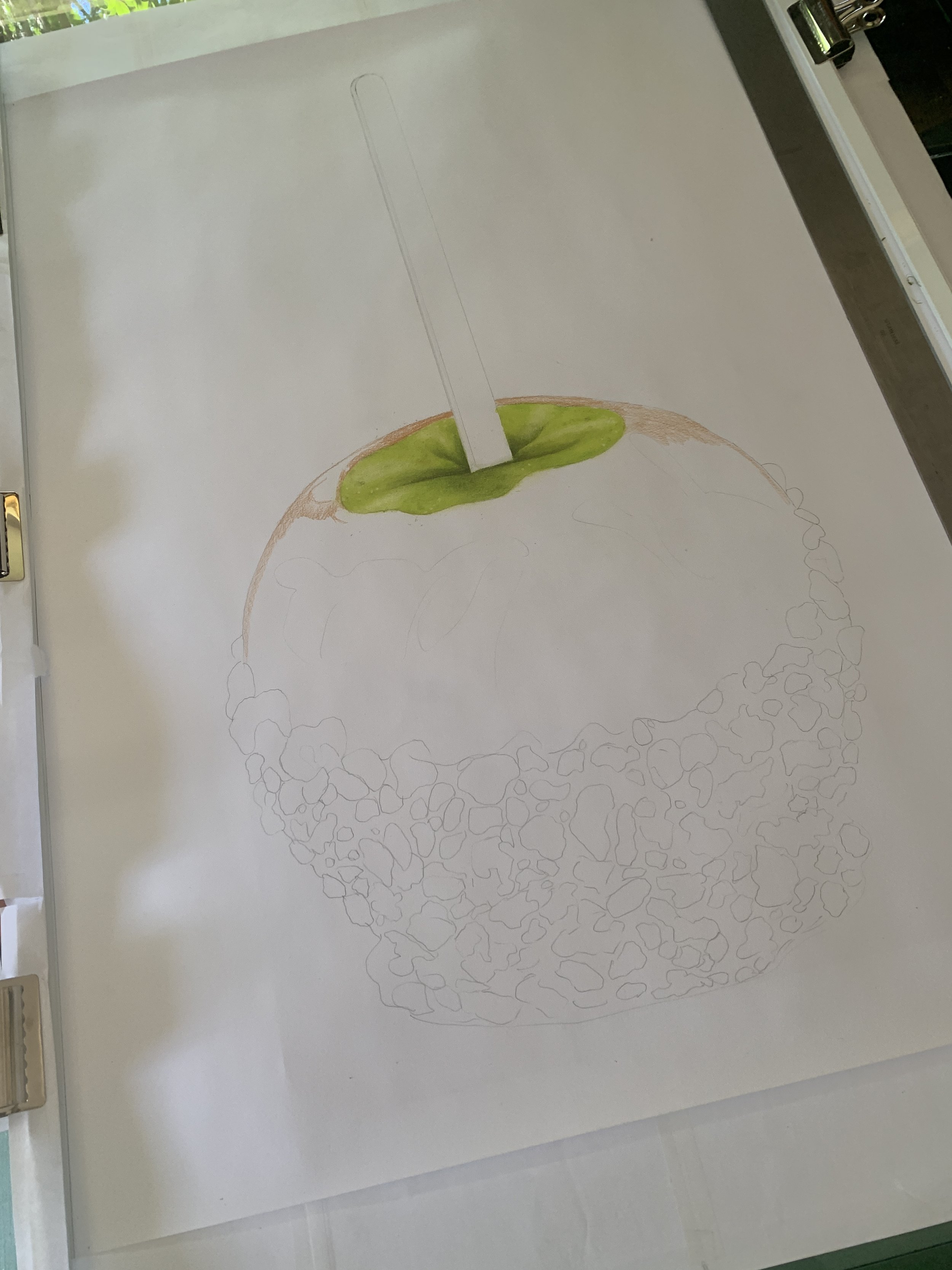 Micihgan-caramel-apple_progression-01.JPG