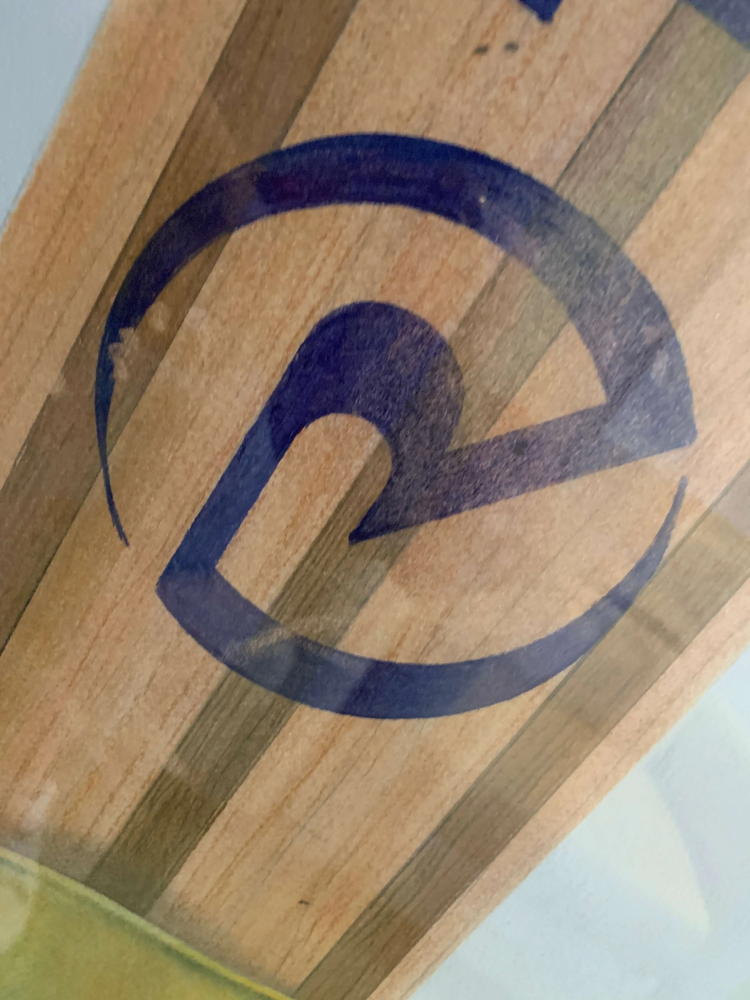 riviera-water-skis-mike-pitzer-logo-closeup.jpg