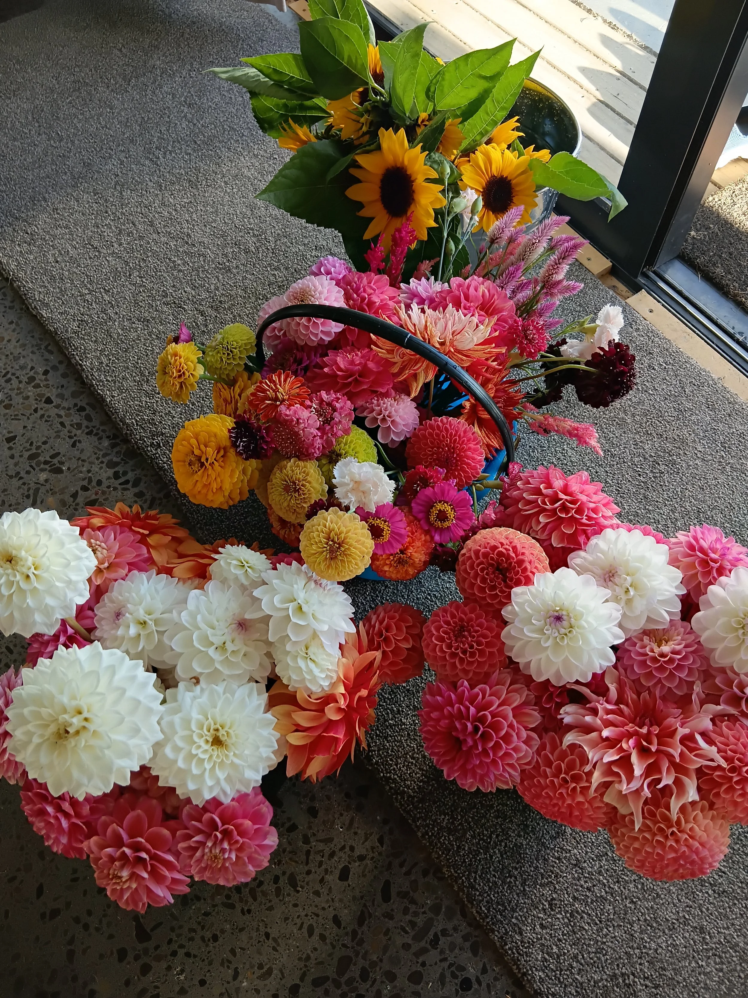 Seasonal Blooms