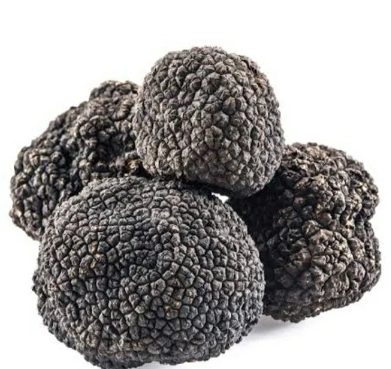 Fresh Perigord Black Truffle NOW OUT OF SEASON
