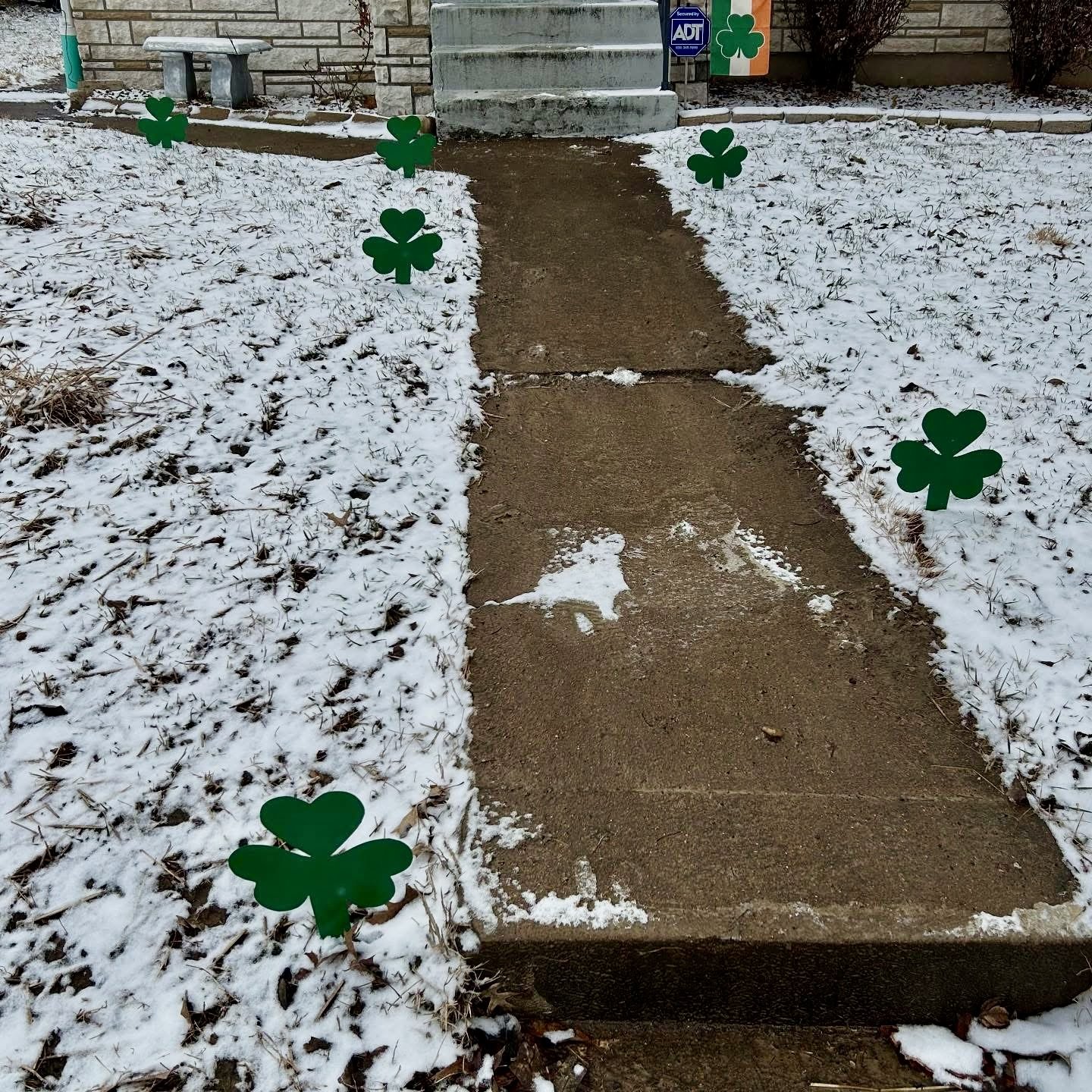 A concrete sidewalk with snow on each side, decorated with green shamrock-shaped stakes along the edges, leading up to steps in front of a house. There are also shamrock-shaped decorations on the lawn and a security sign near the steps.