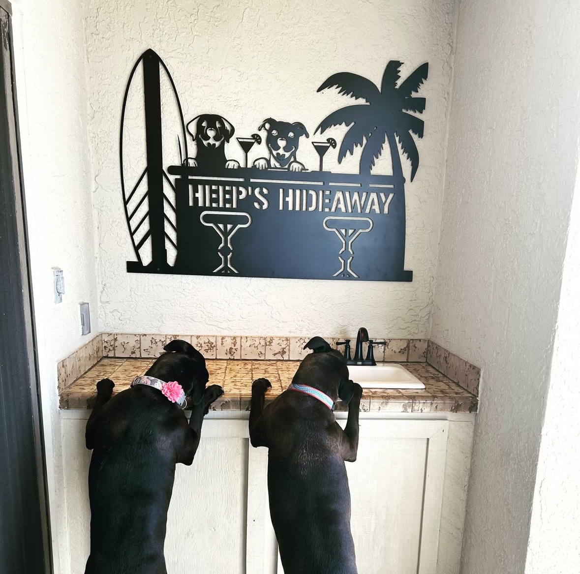 Two dogs with collars reaching up to a counter with a sink, looking over the edge. A decorative sign on the wall reads 'Here's Hideaway' with a design of a surfboard, palm tree, and dogs relaxing with drinks.