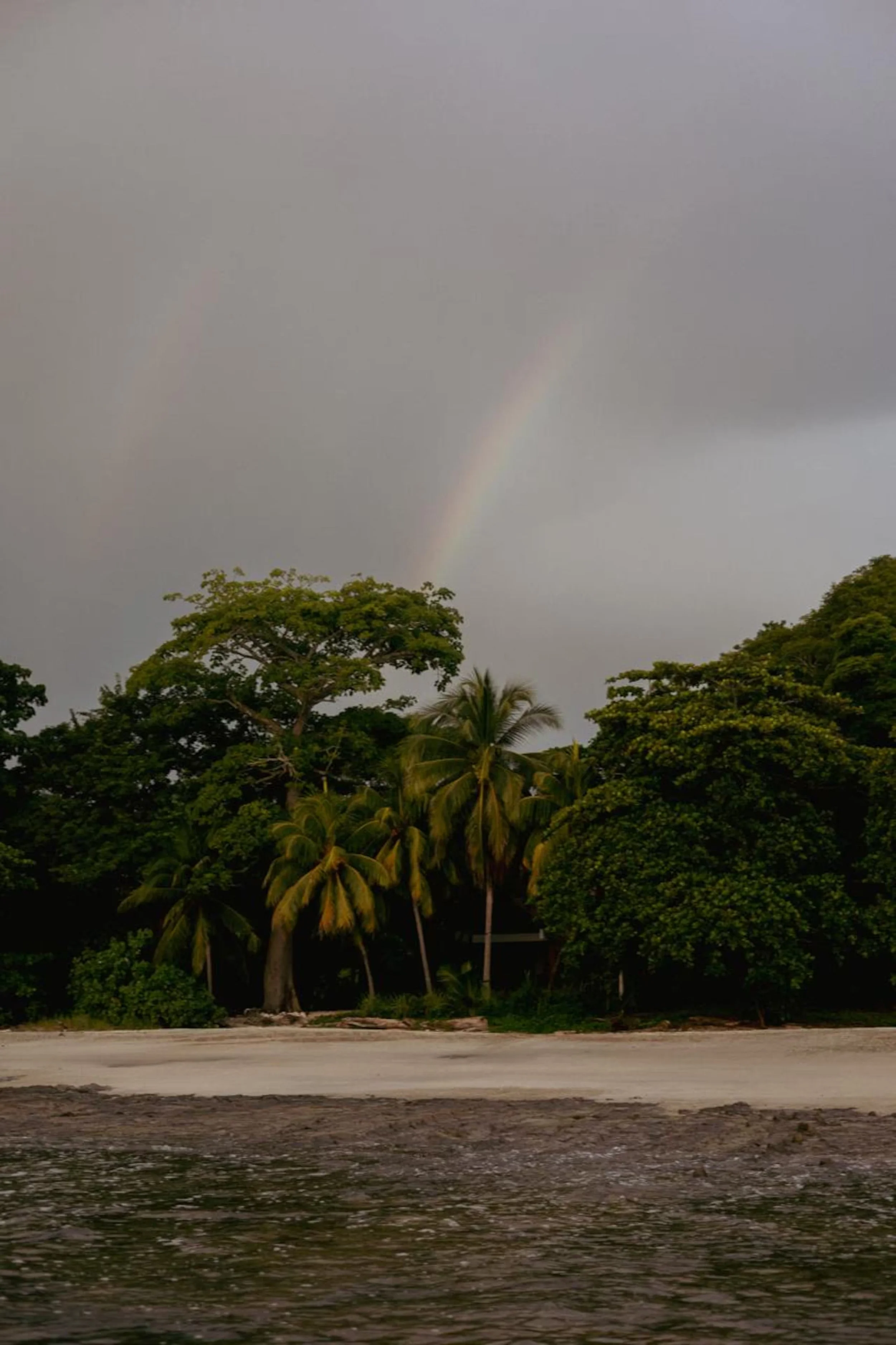 rainbow.jpg