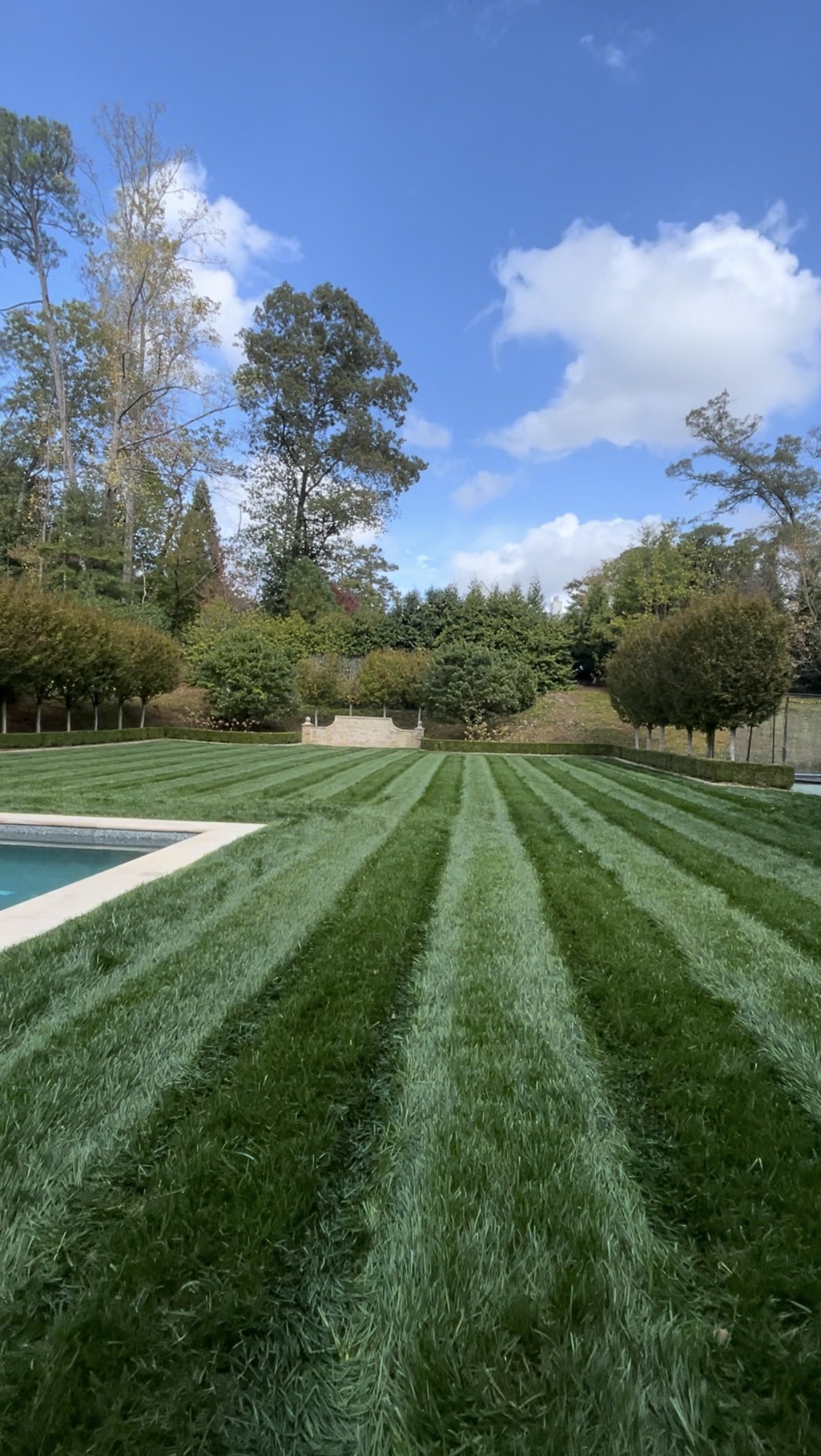Oranssi carpenter using bench saw