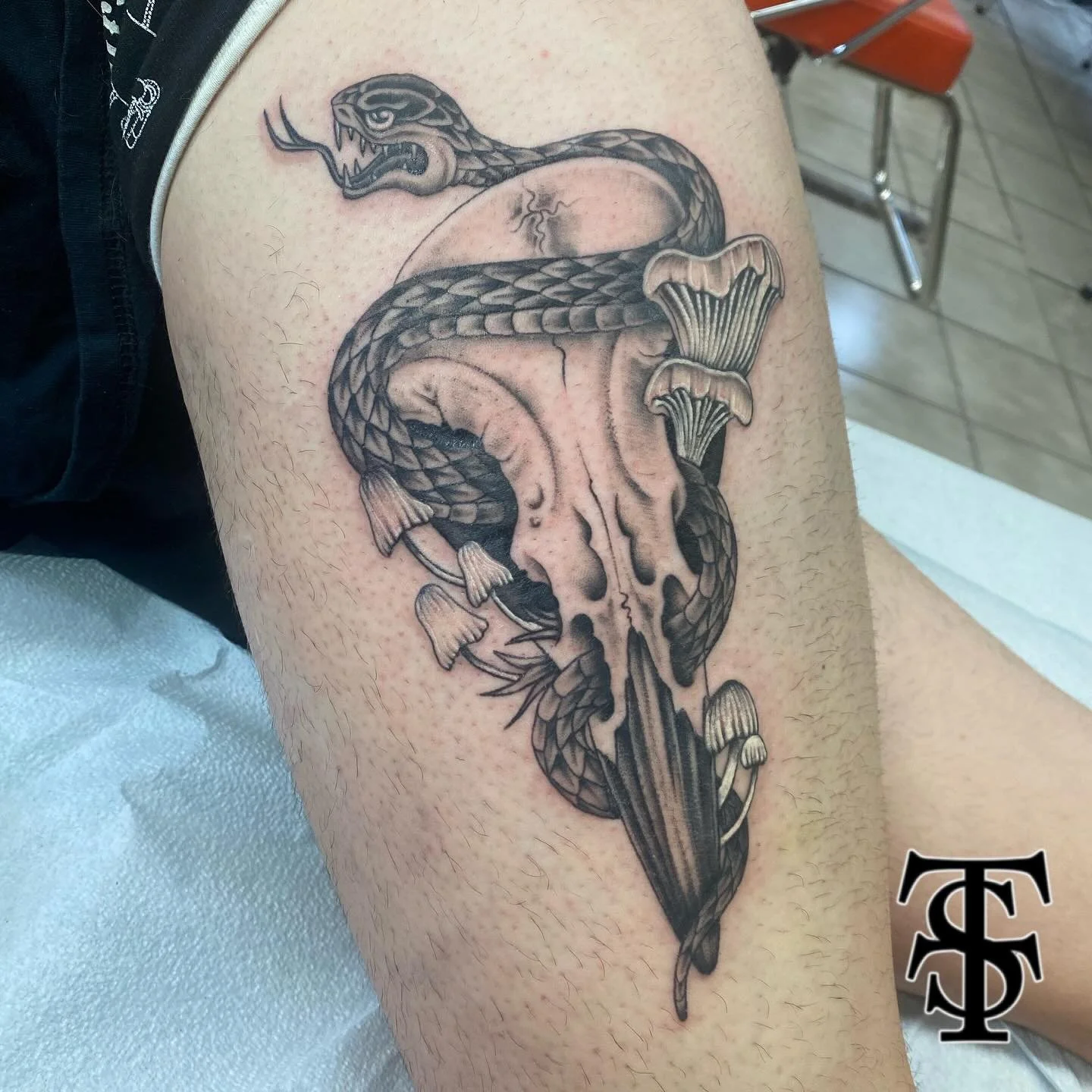 Done by @electric.jenn 🐍
&bull; Jenn is at the shop Wednesday - Saturday, you can reach out to her via DM to book any appointments! &bull; 

#taylorsttattoo #taylorstreettattoo #tst #tattoo #tattooshop #tattooartist #chicago #chicagotattoo #chicagot