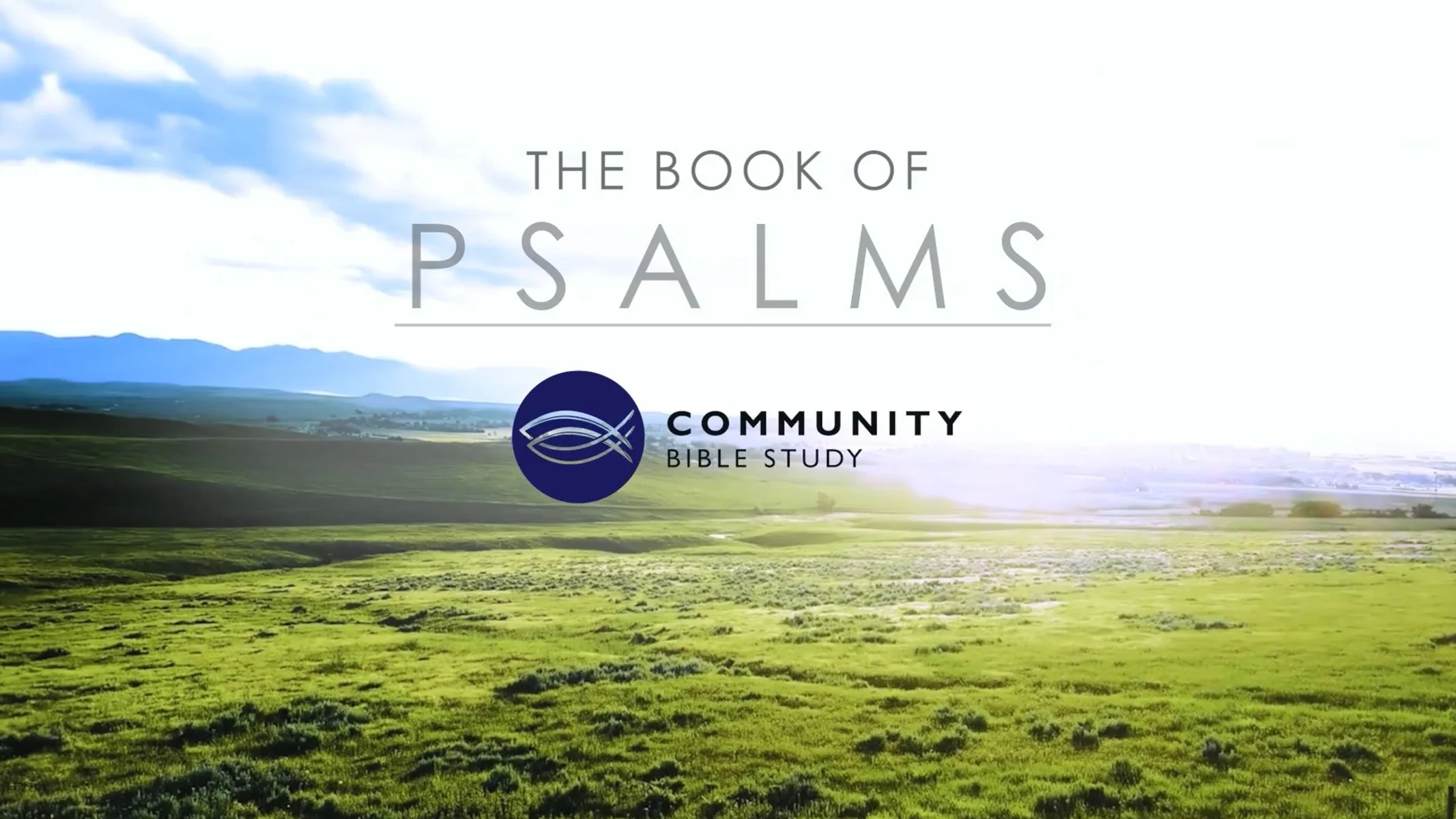 Women's Community Bible Study Begins