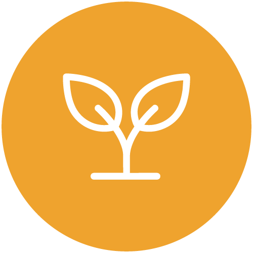 Icon of a plant with two leaves on a circular orange background.