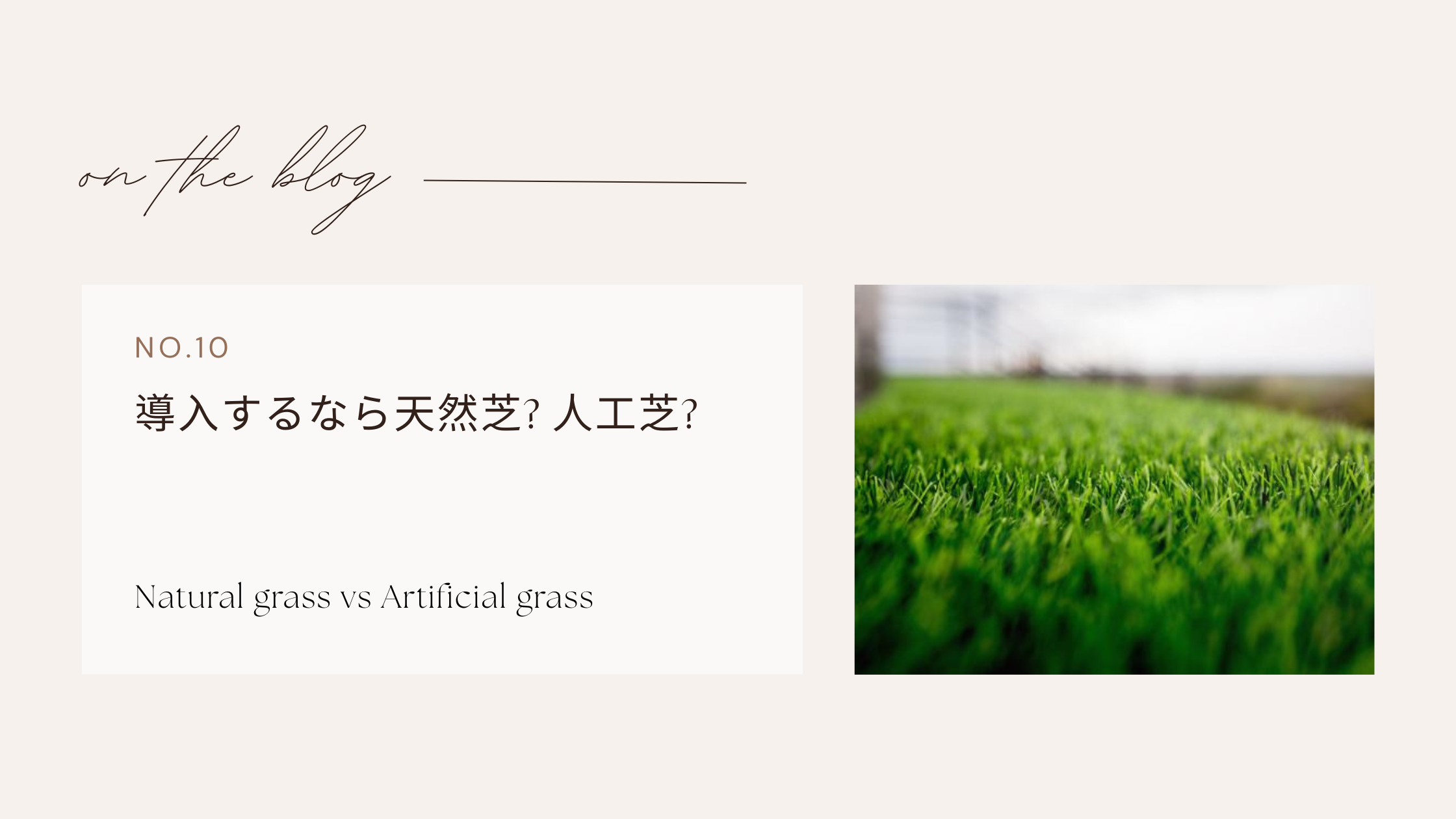 天然芝 vs 人工芝: DIY施工でのコスト比較と不動産価値