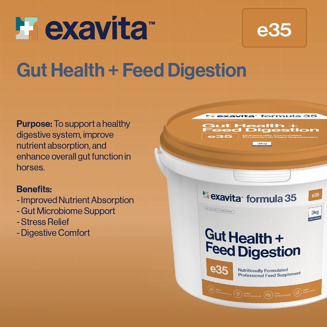 🟠 🟠 Exavita Formula 35 Gut Health + Feed Digestion Control 🟠 🟠

Formula 35 is a premium supplement designed to support optimal gut function, aid in nutrient absorption, and reduce digestive discomfort in horses. With carefully selected ingredient