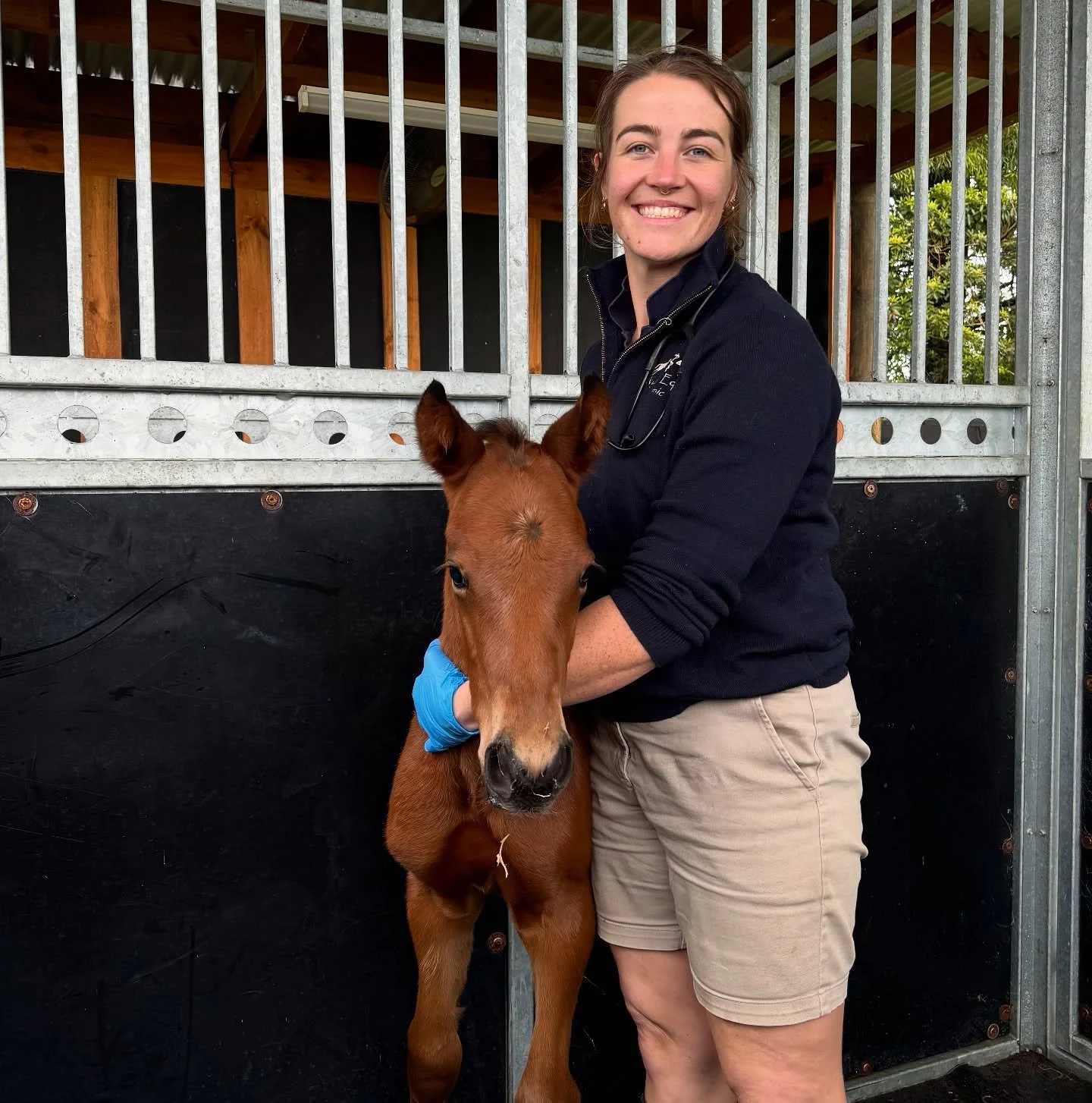 We&rsquo;re welcoming the first foal of the season &hearts;️

Congratulations to Finniefeirme for breeding and delivering this gorgeous thoroughbred colt. 

We are looking forward to all the beautiful foals being born over the coming months.

#foals 