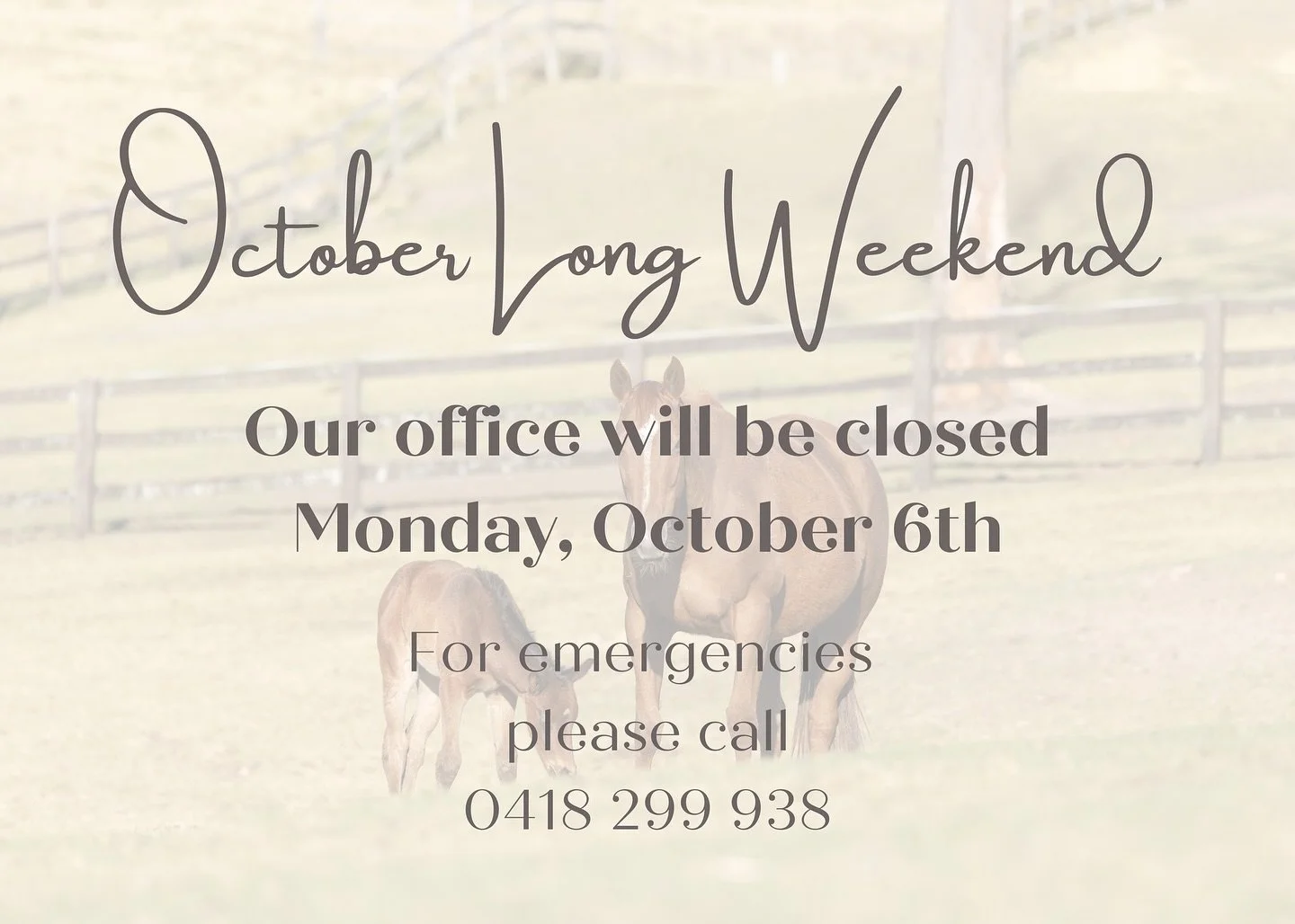 Our office will be closed Monday, October 6th. 

For emergencies please call 0418 299 938

#wyongequineclinic #equinevet