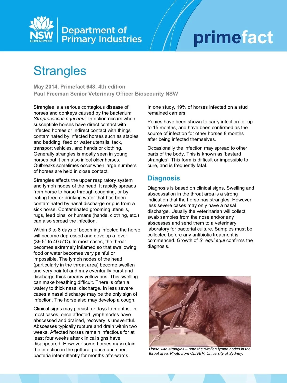 🦠 Recent Stangles Outbreak 🦠 

We are urging all horse owners to remain vigilant and contact our office if your horse shows signs of:

- fever between 39.0 &ndash; 40.5 &deg;C
- nasal discharge or runny nose
- coughing
- swollen lymph nodes (especi