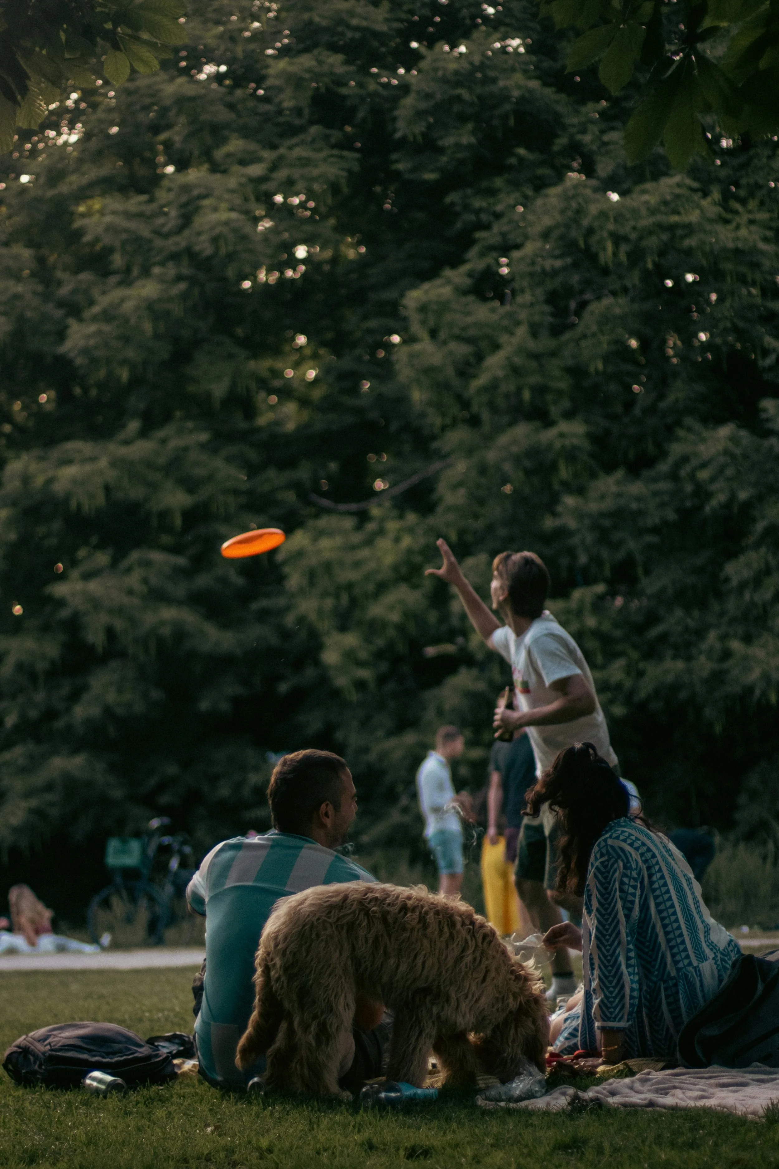 Adventure Awaits in Macken Park