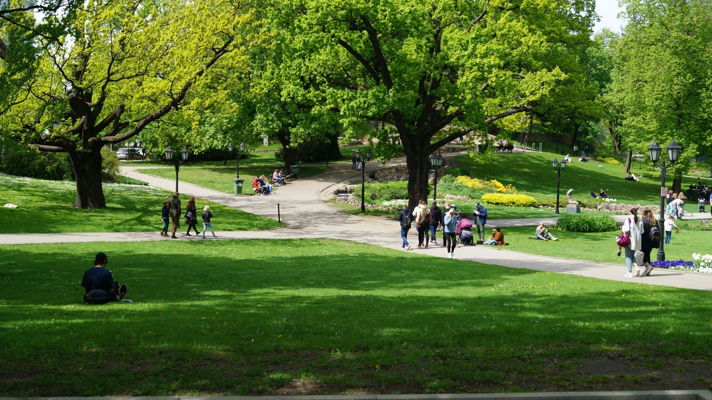 Friday in the Park