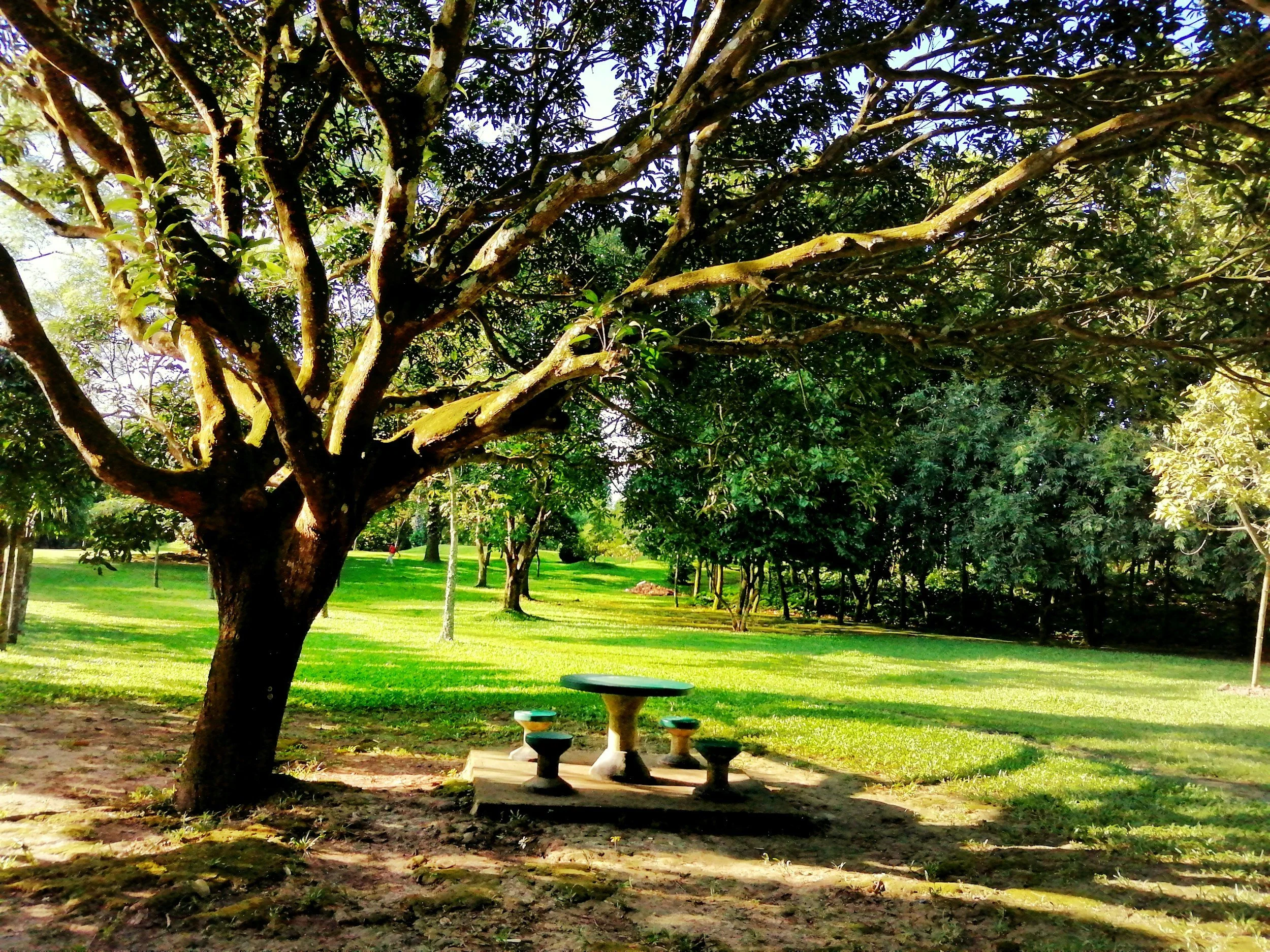 Friday in the Park