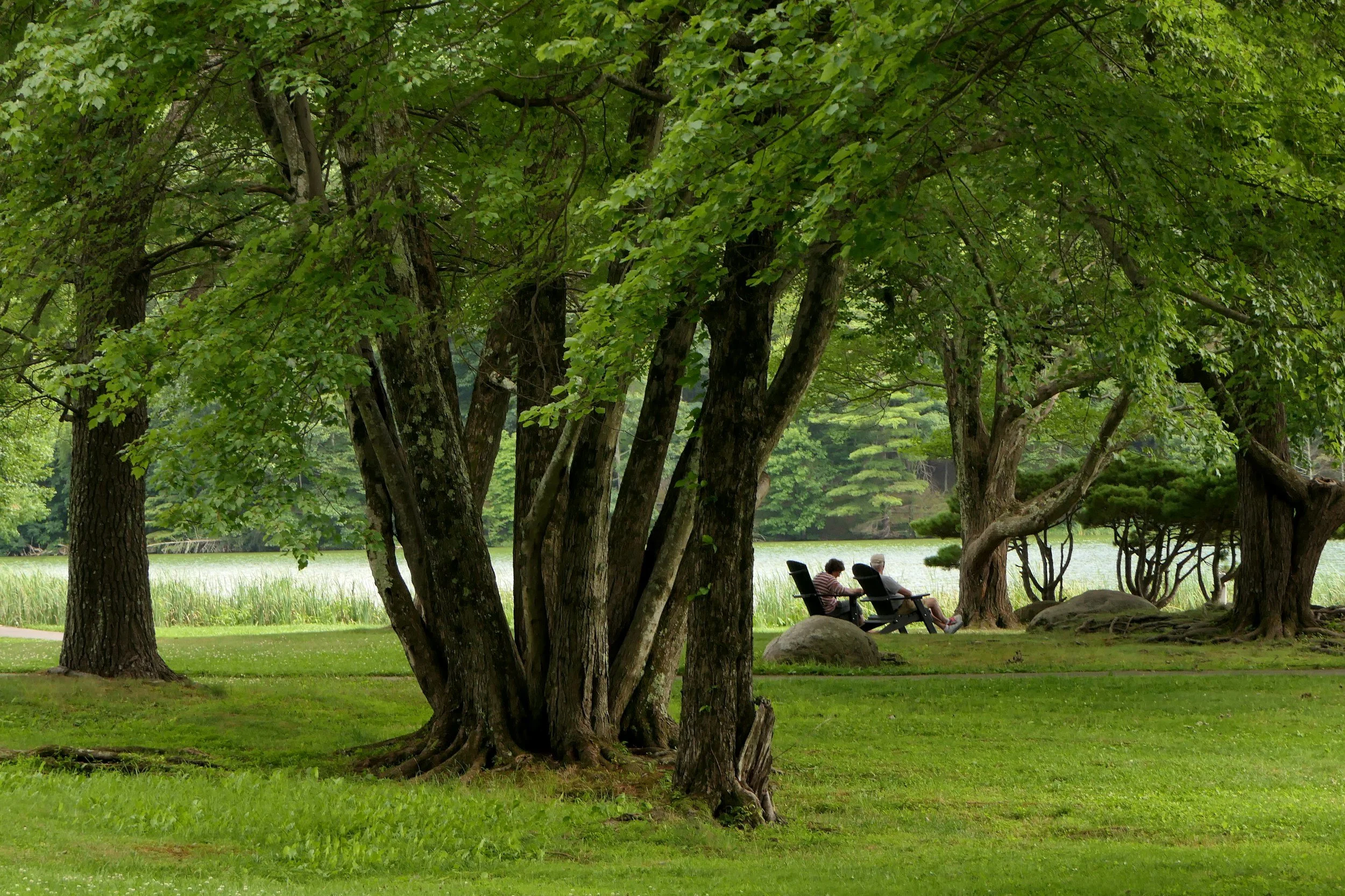 Friday in the Park