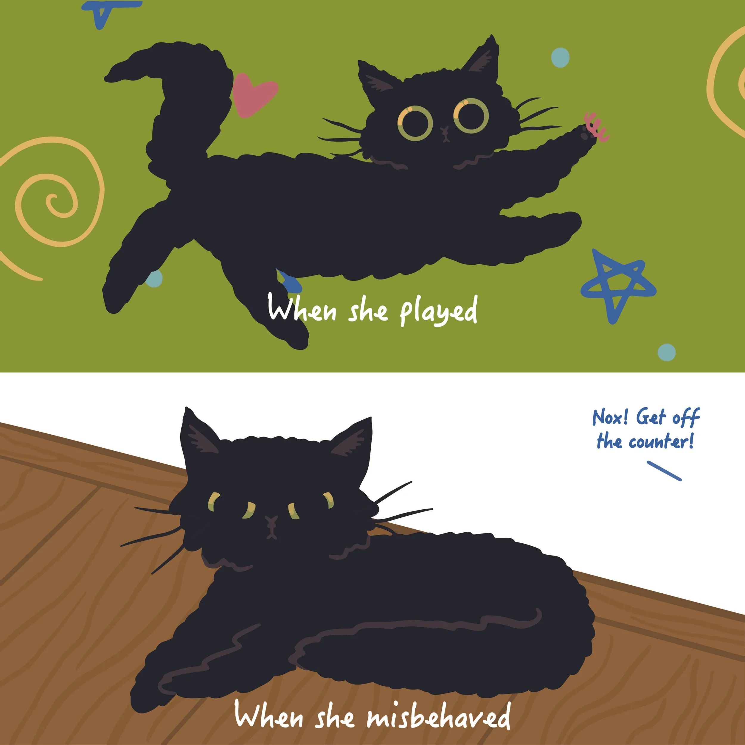 nox and her socks_Page 11.jpg