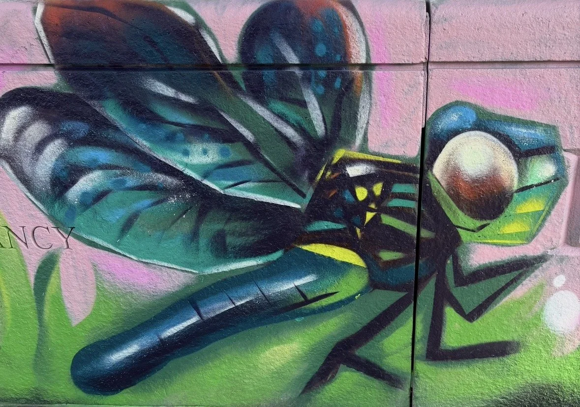 Dragon Fly - Charles River Conservancy's Graffiti/Street Artist in Residence 2026 at Lynch Family Skate Park, Cambridge, MA