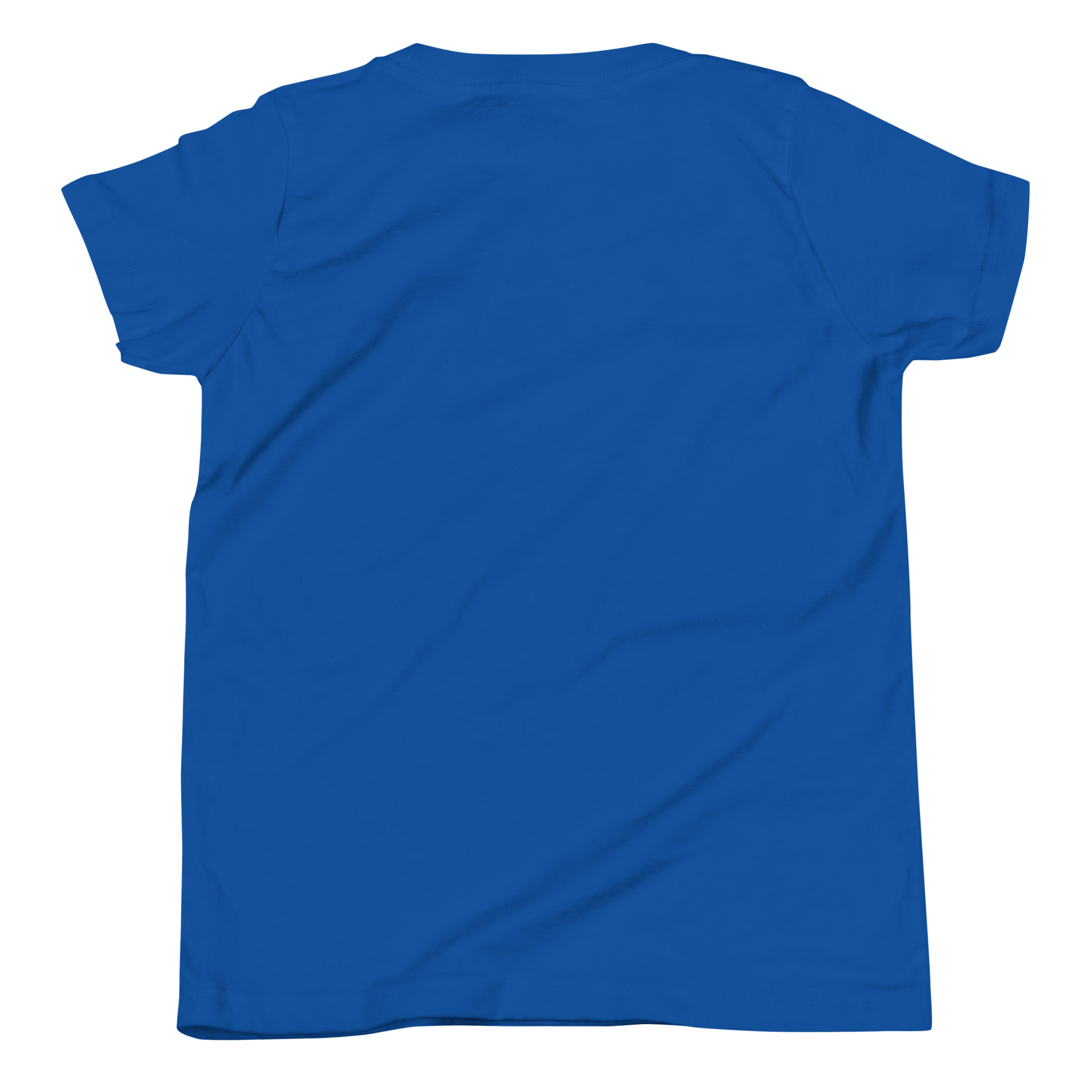 youth-staple-tee-true-royal-back-6783cc35824be.png
