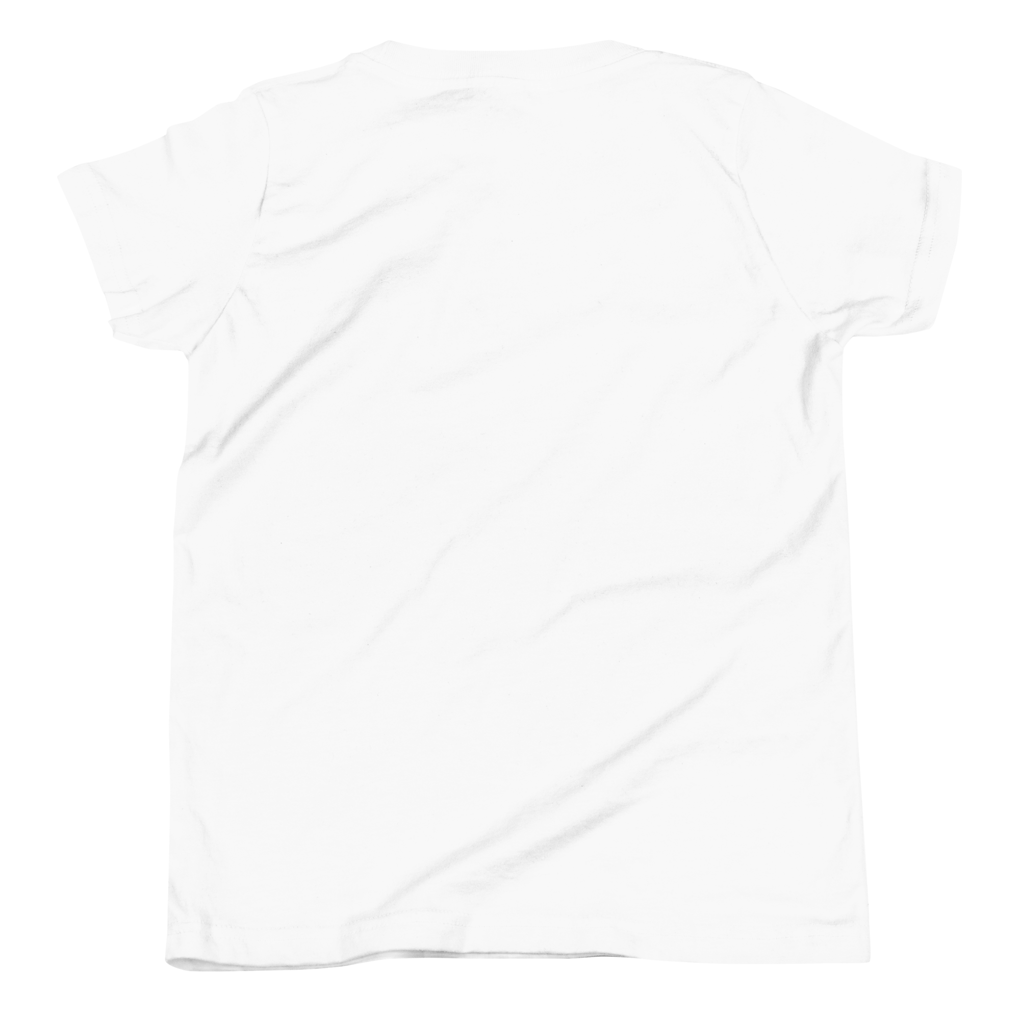 youth-staple-tee-white-back-6783cd0d49123.png