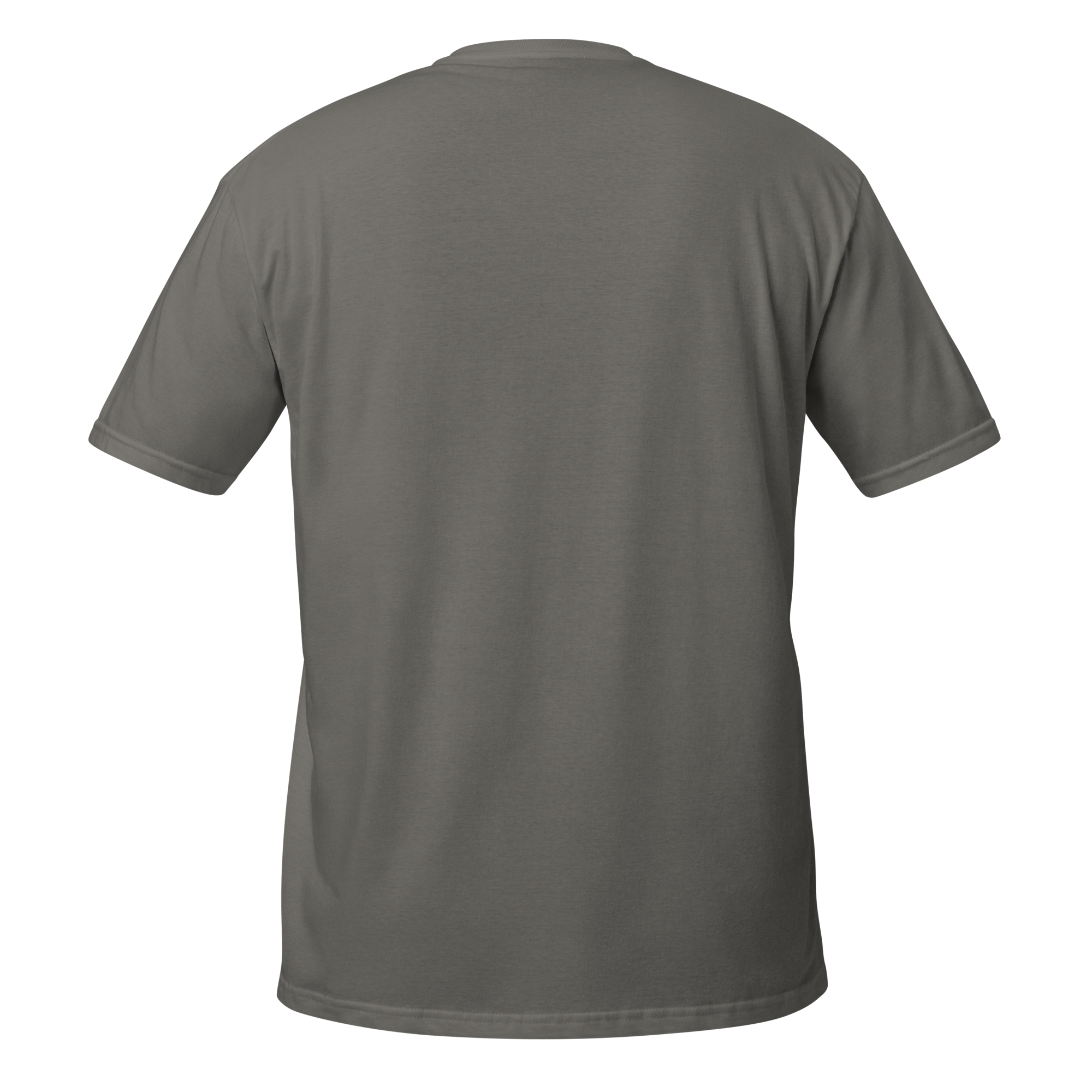 unisex-basic-softstyle-t-shirt-charcoal-back-6783e0884889f.png
