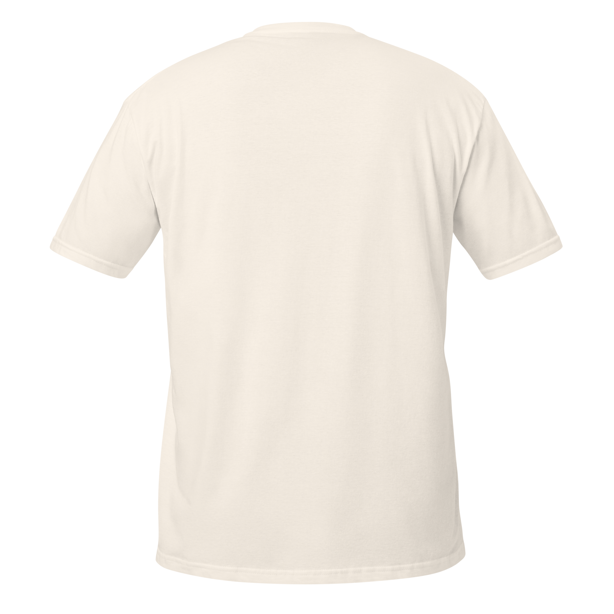 unisex-basic-softstyle-t-shirt-natural-back-6783e088754bd.png