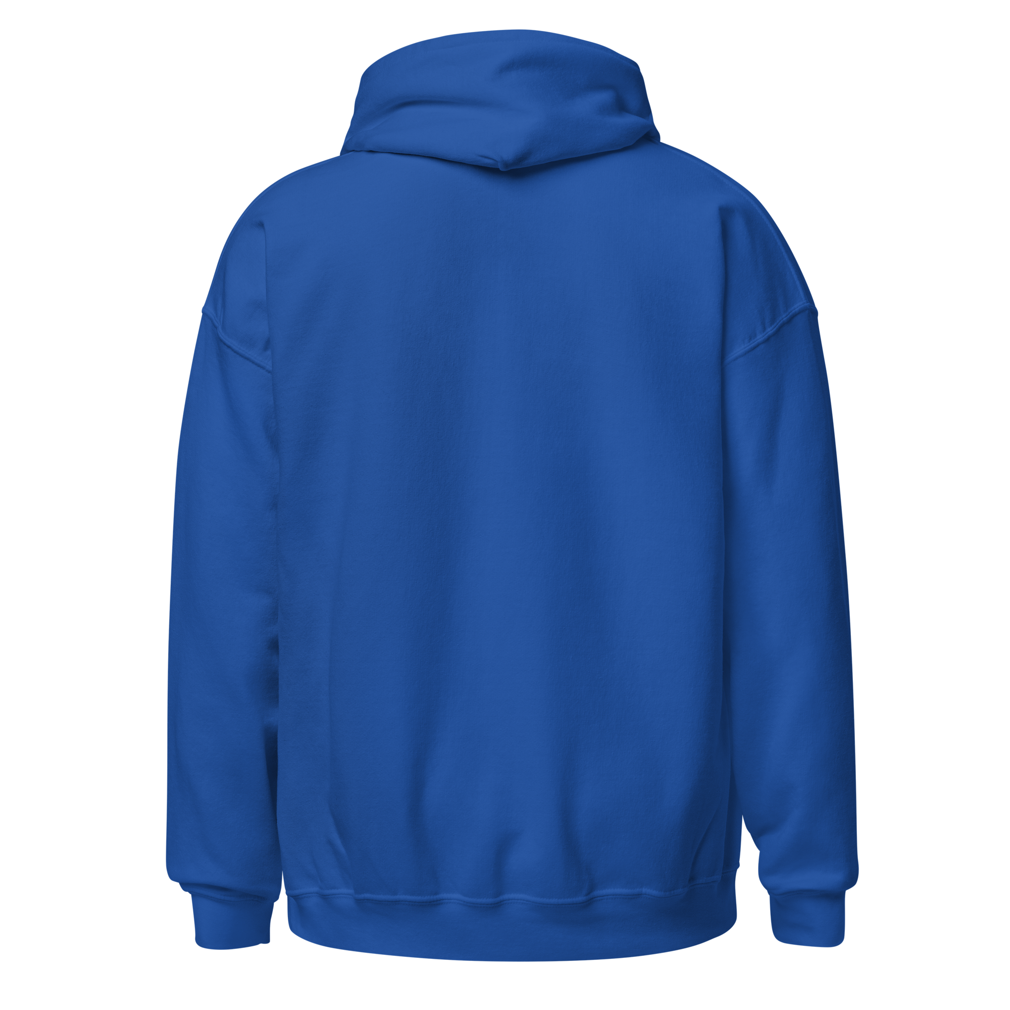 unisex-heavy-blend-hoodie-royal-back-679fcabd9914a.png