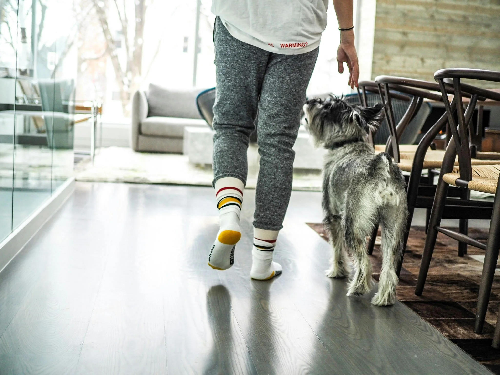 Clicker training à Lyon – Éduquer votre chien autrement