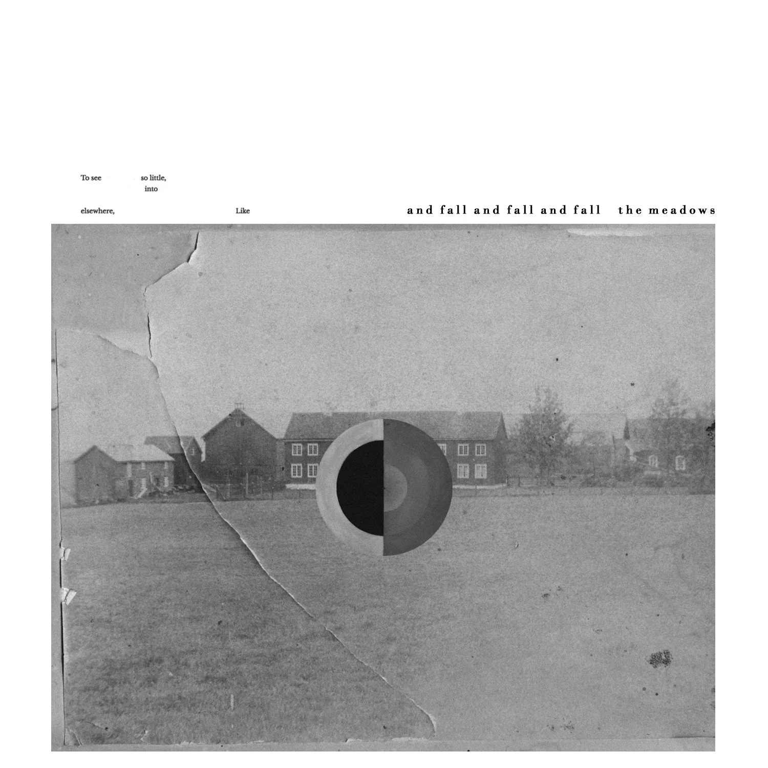 the meadows- and fall and fall and fall