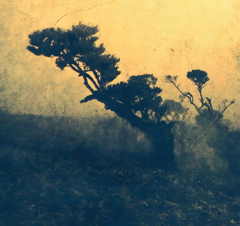 Artwork: Eva Marzi