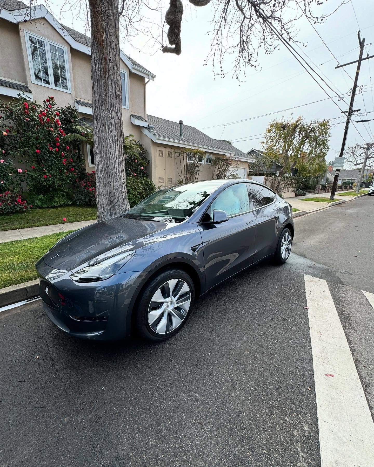 Tesla interior and exterior detail.
