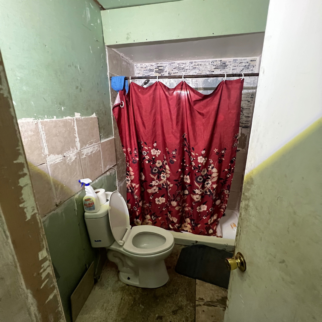 wondering freedom fl (19).png