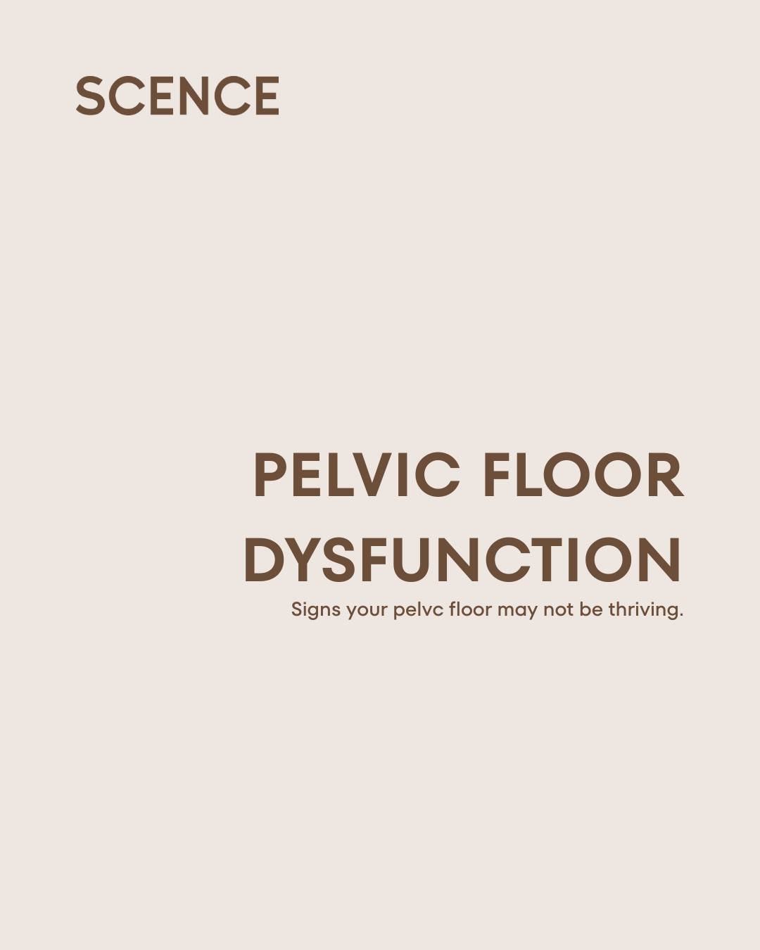 Is your pelvic floor trying to tell you something?

Pelvic floor dysfunction doesn&rsquo;t just mean leakage. Common signs include:
🌟  Urgency or frequency 
🌟  Pain with sex
🌟  Pelvic heaviness 
🌟  Constipation
🌟  Lower back or pelvic pain

If a