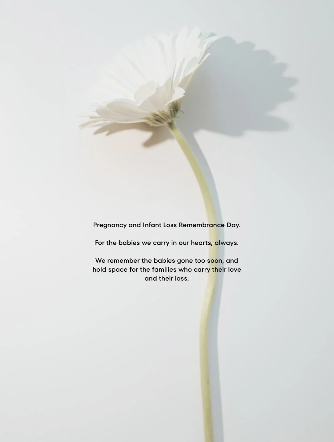 Today we remember the babies who are loved, hoped for, and deeply missed. 

We acknowledge the many different ways pregnancy and infant loss can shape a family, and the grief that can remain long into the future. 

To every parent carrying a story of