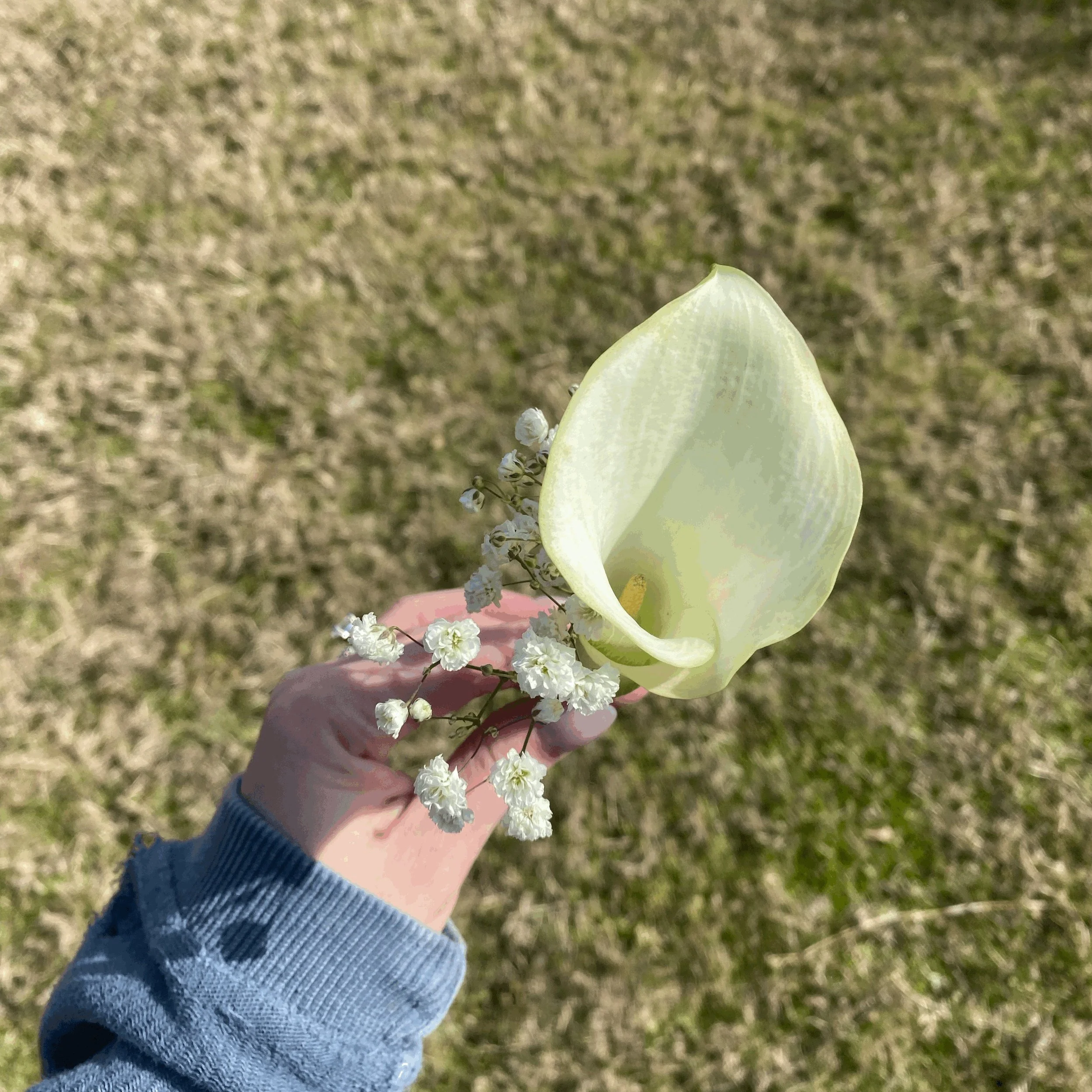 Calla Lily Boutonniere!