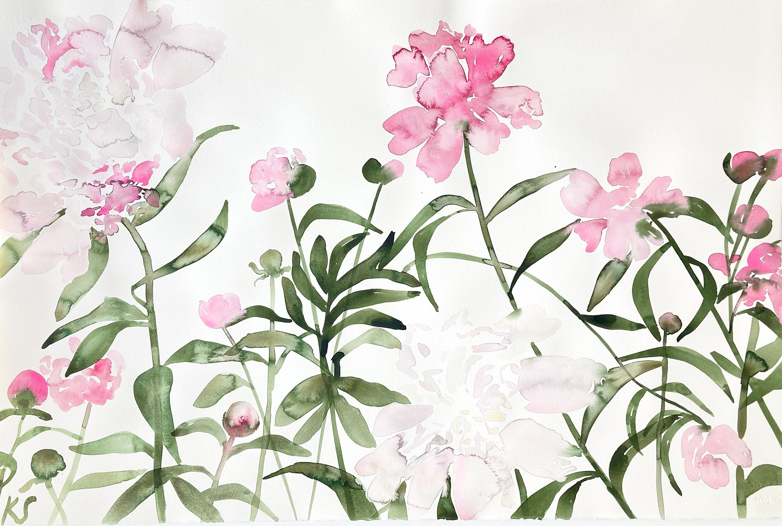 PEONIES-CHADDS-FORD-MAY-2023-4- kate-schelter-2OF2-DIPTYCH 40%22X26%22_R.jpg
