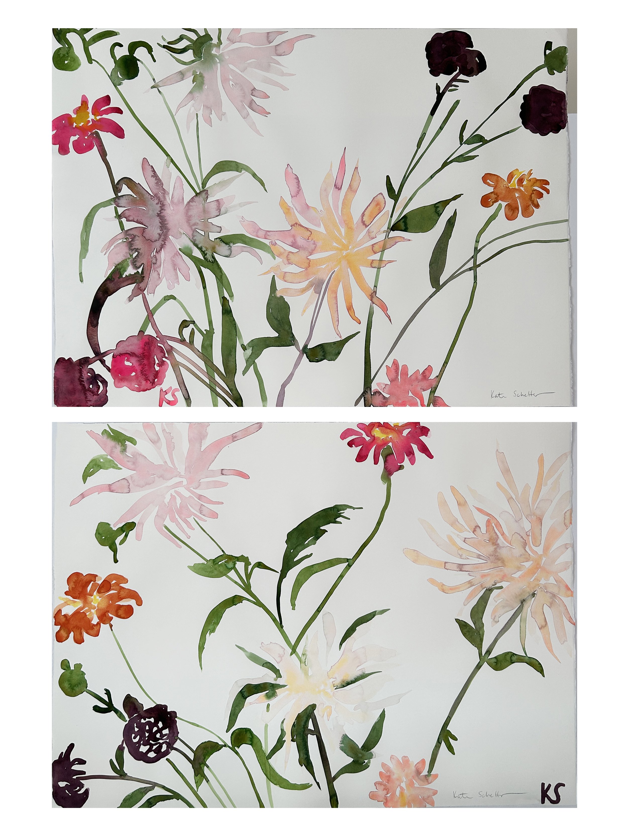 DAHLIAS-kate-schelter-2024 DIPTYCH 30%22X22%22_R.jpg