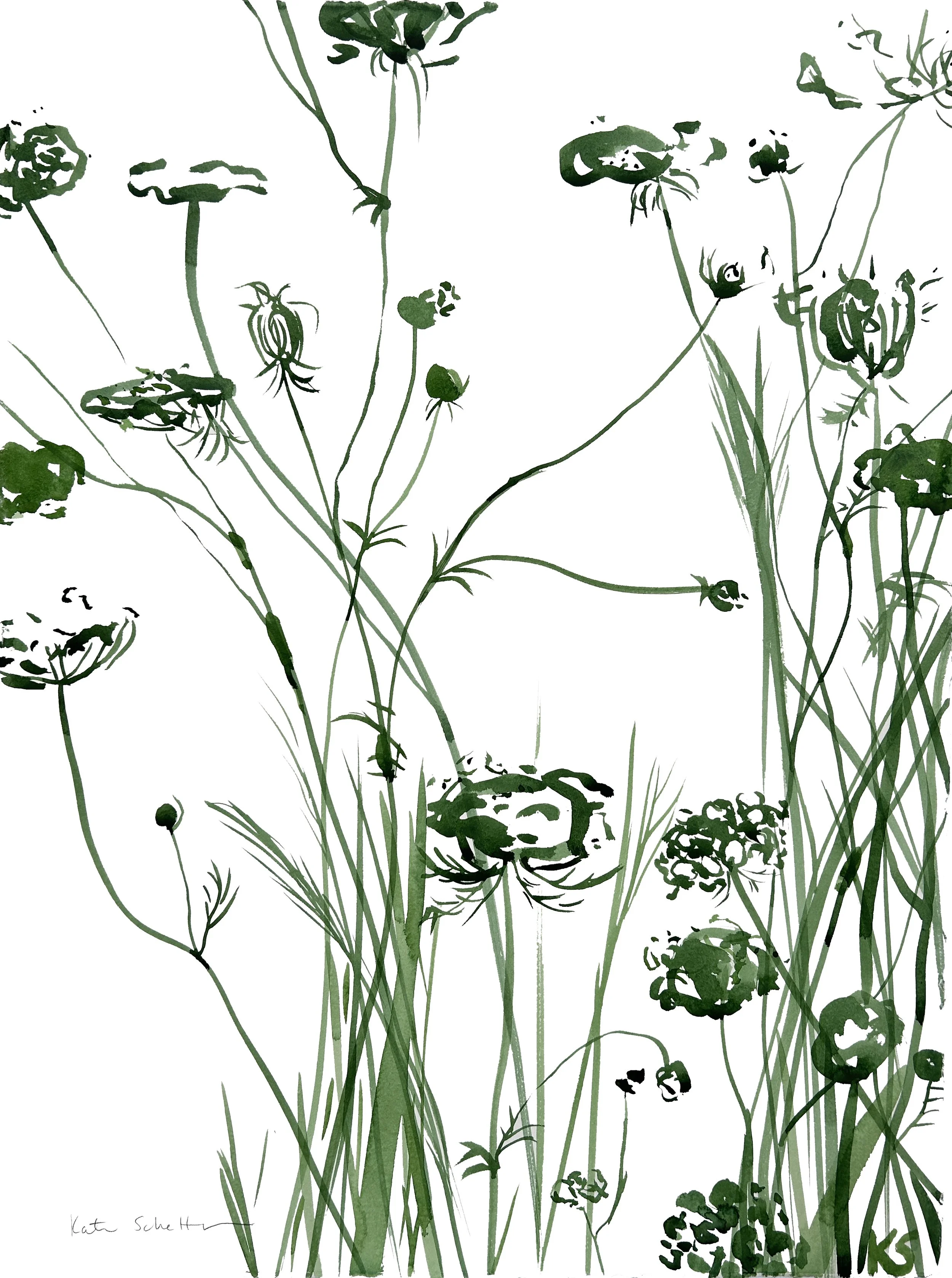 QUEEN ANNE'S LACE_10 22%22 X 30%22 [LIGHT WHISPY GREEN GRASSES].JPG