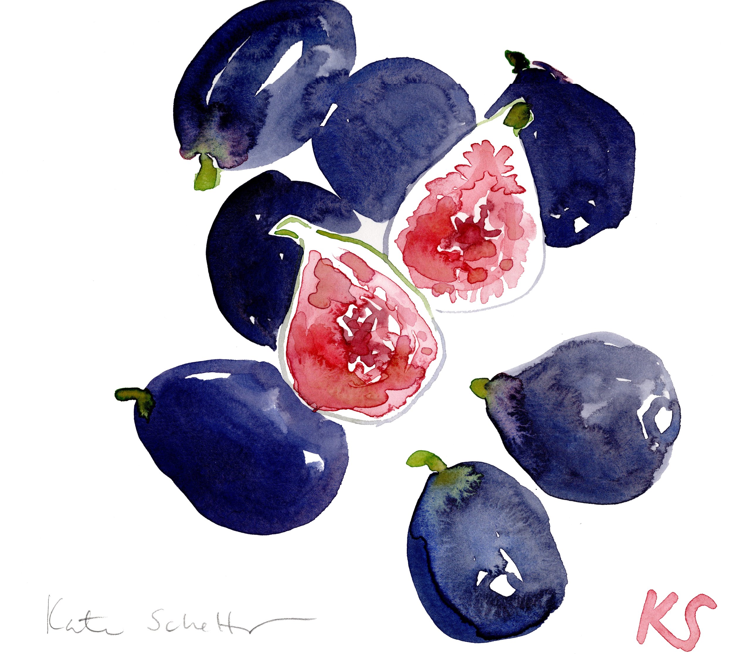 FIGS 9.75%22 X 9%22_400DPI_R.jpg