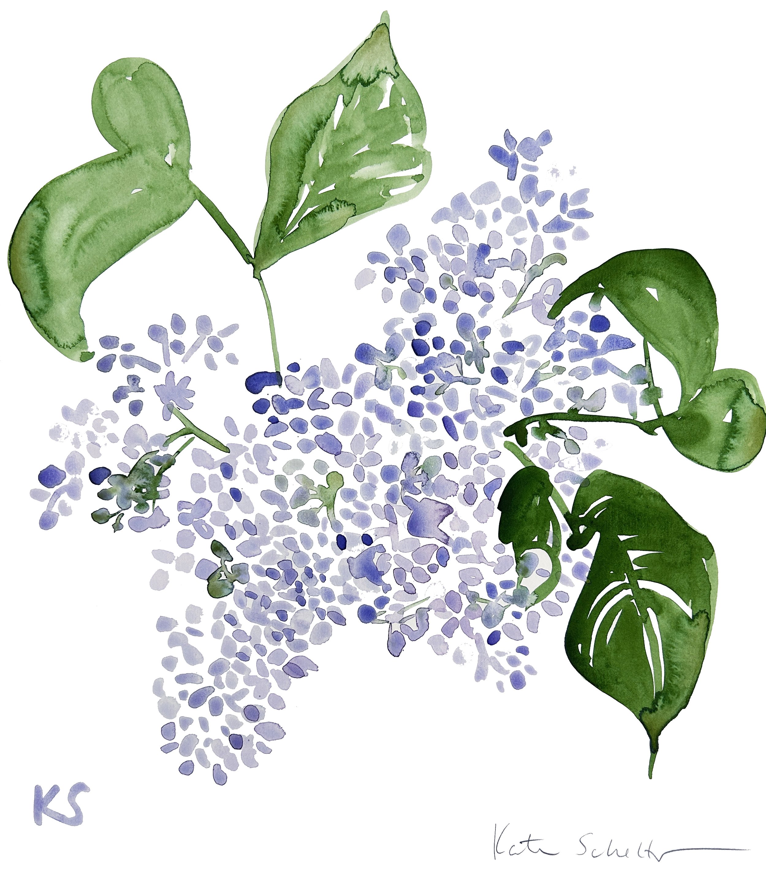 LILAC 12" X 14".jpg