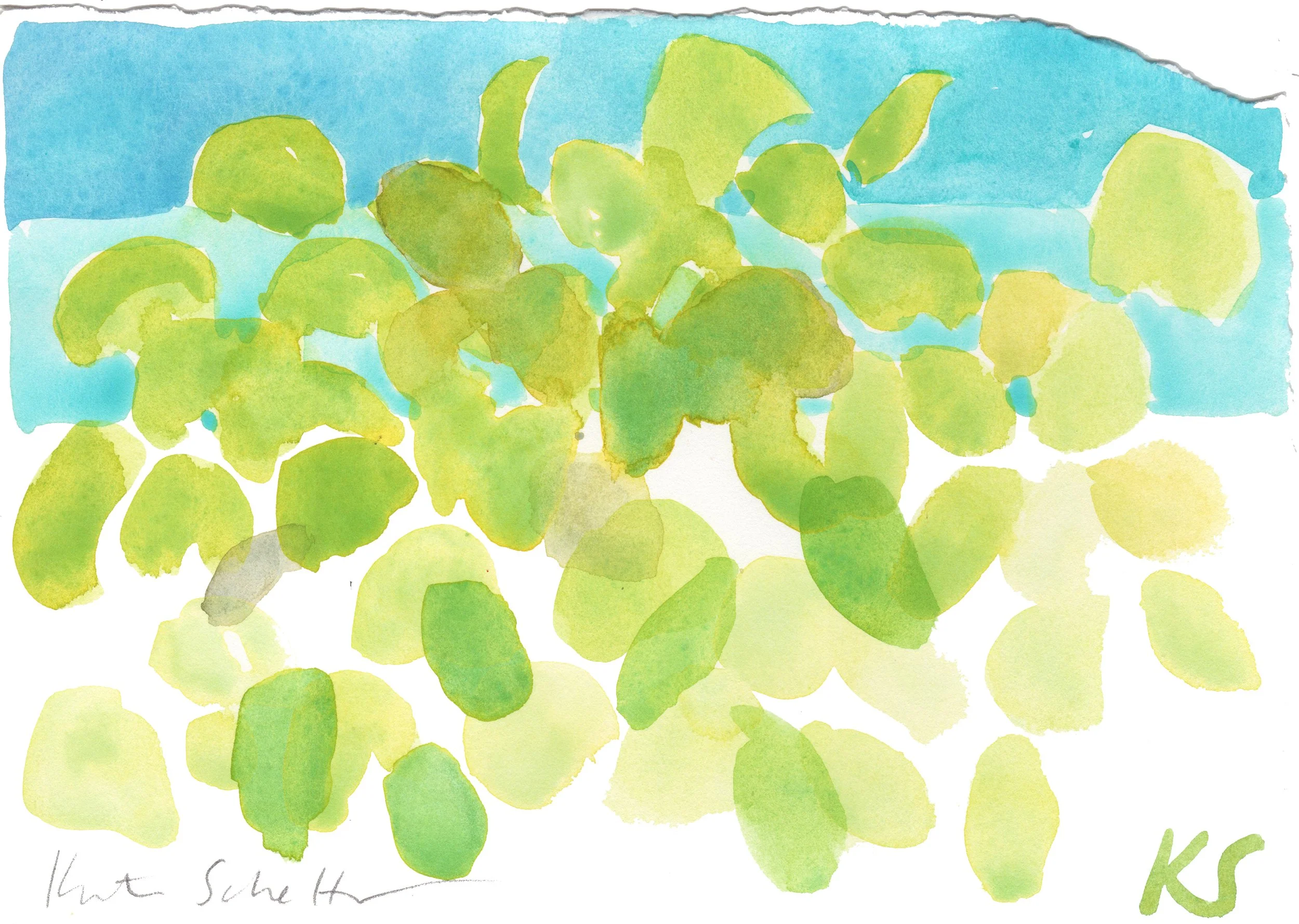 SEA GRAPE HARBOUR ISLAND_10, 8" X 5.75"_300dpi_R.jpg