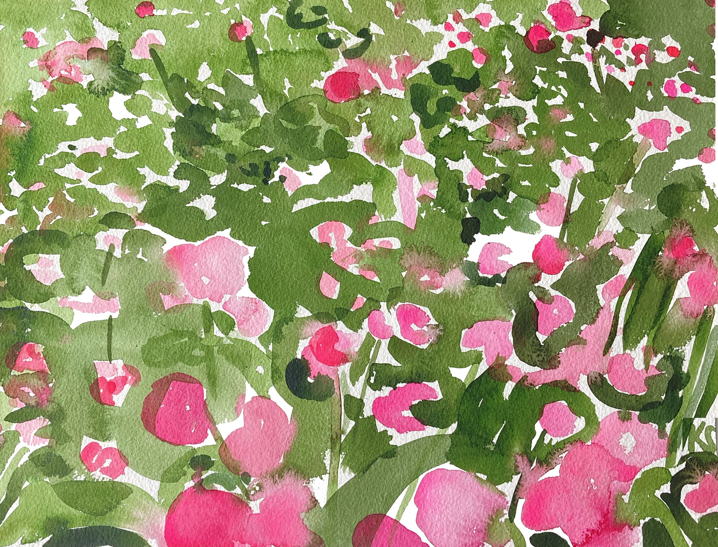 PEONY FIELD CHADDS FORD MAY 2023