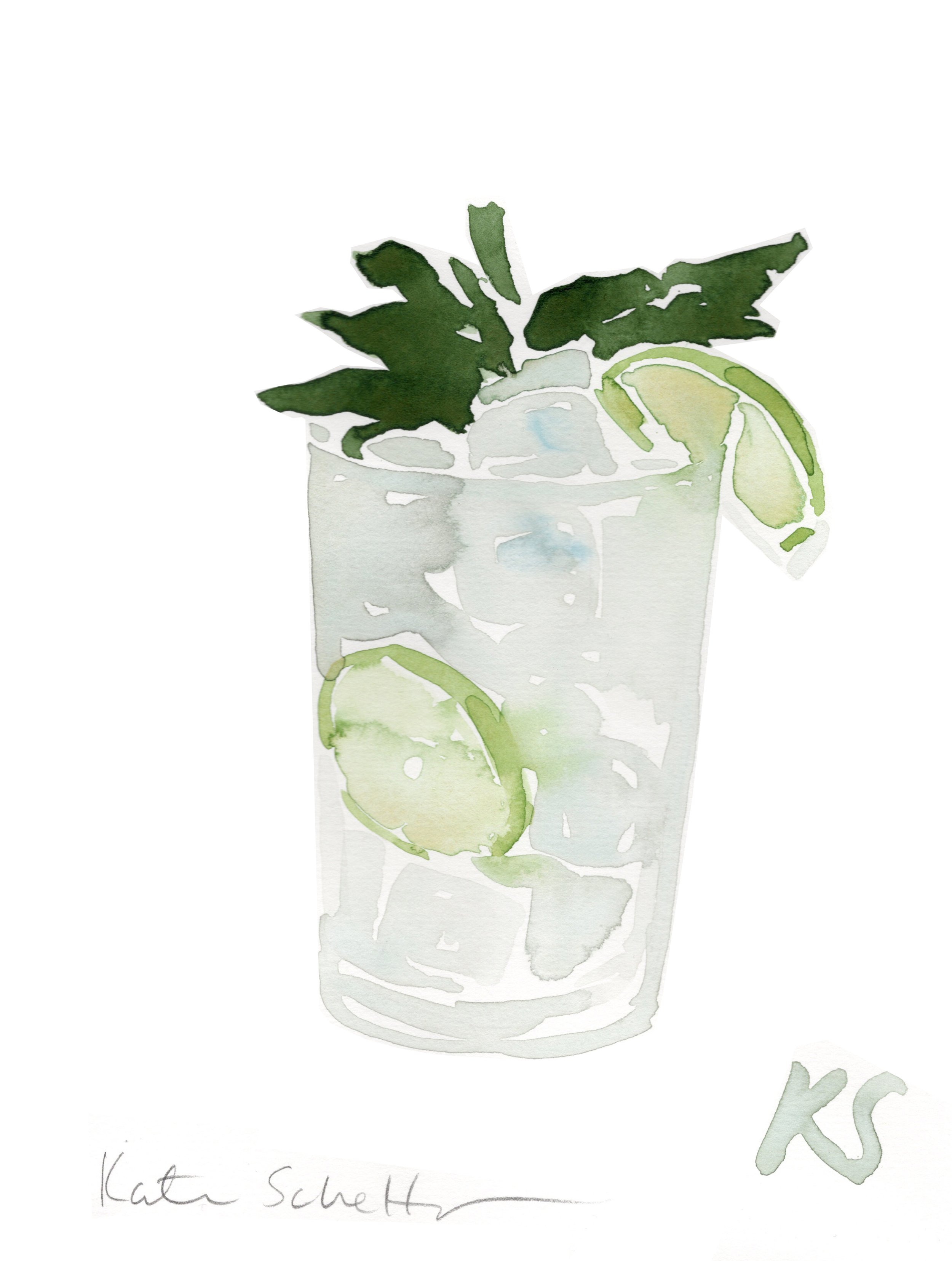 GIN AND TONIC MINT LIME