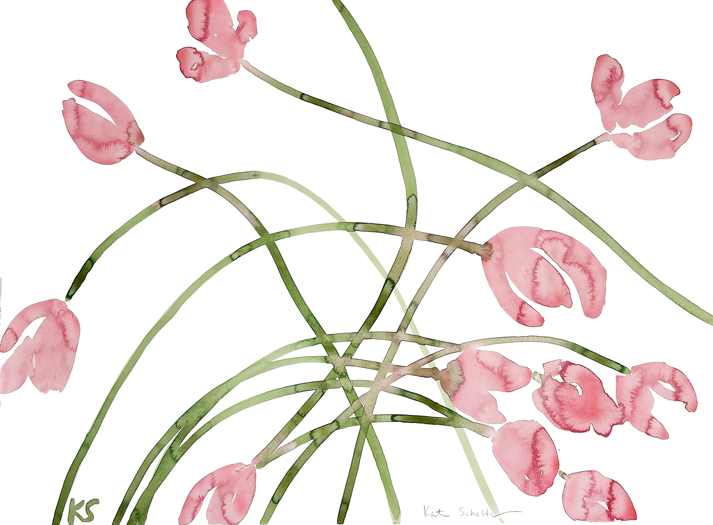 TULIPS PINK | 30" X 22"