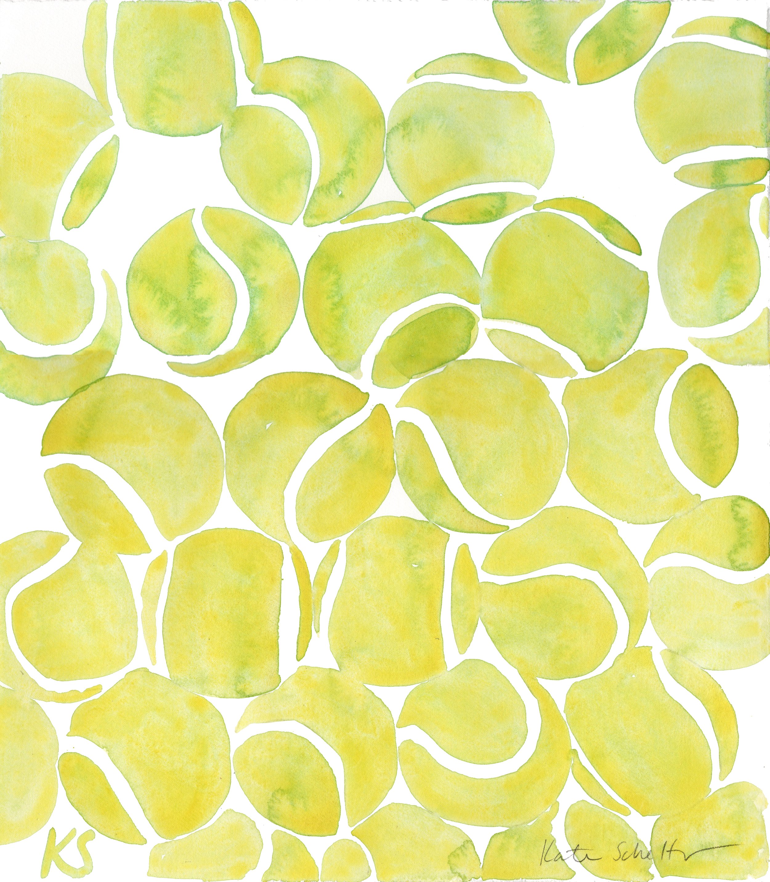 Tennis Balls Hopper