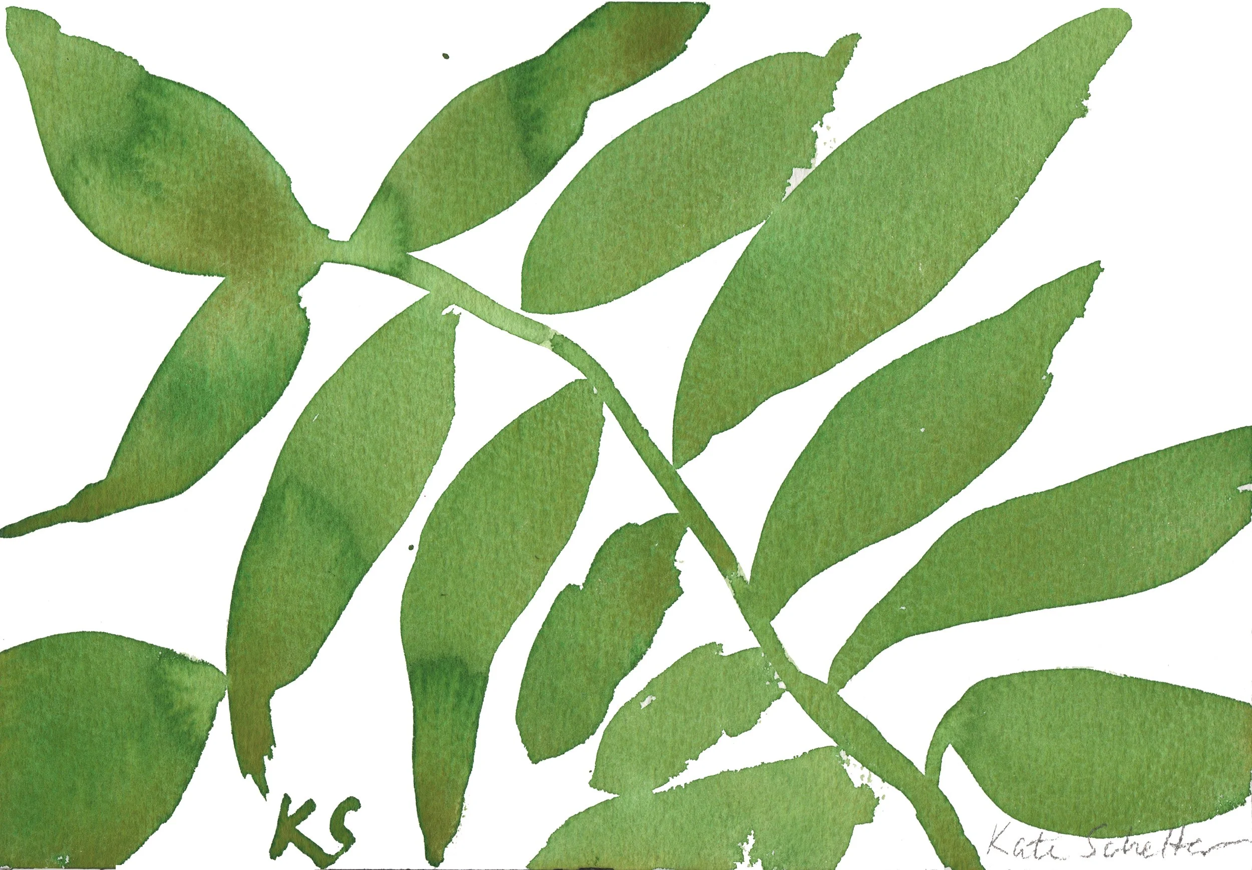 GSHI MAINE GREEN LEAVES 10.25" X 7"_300dpi_R.jpg